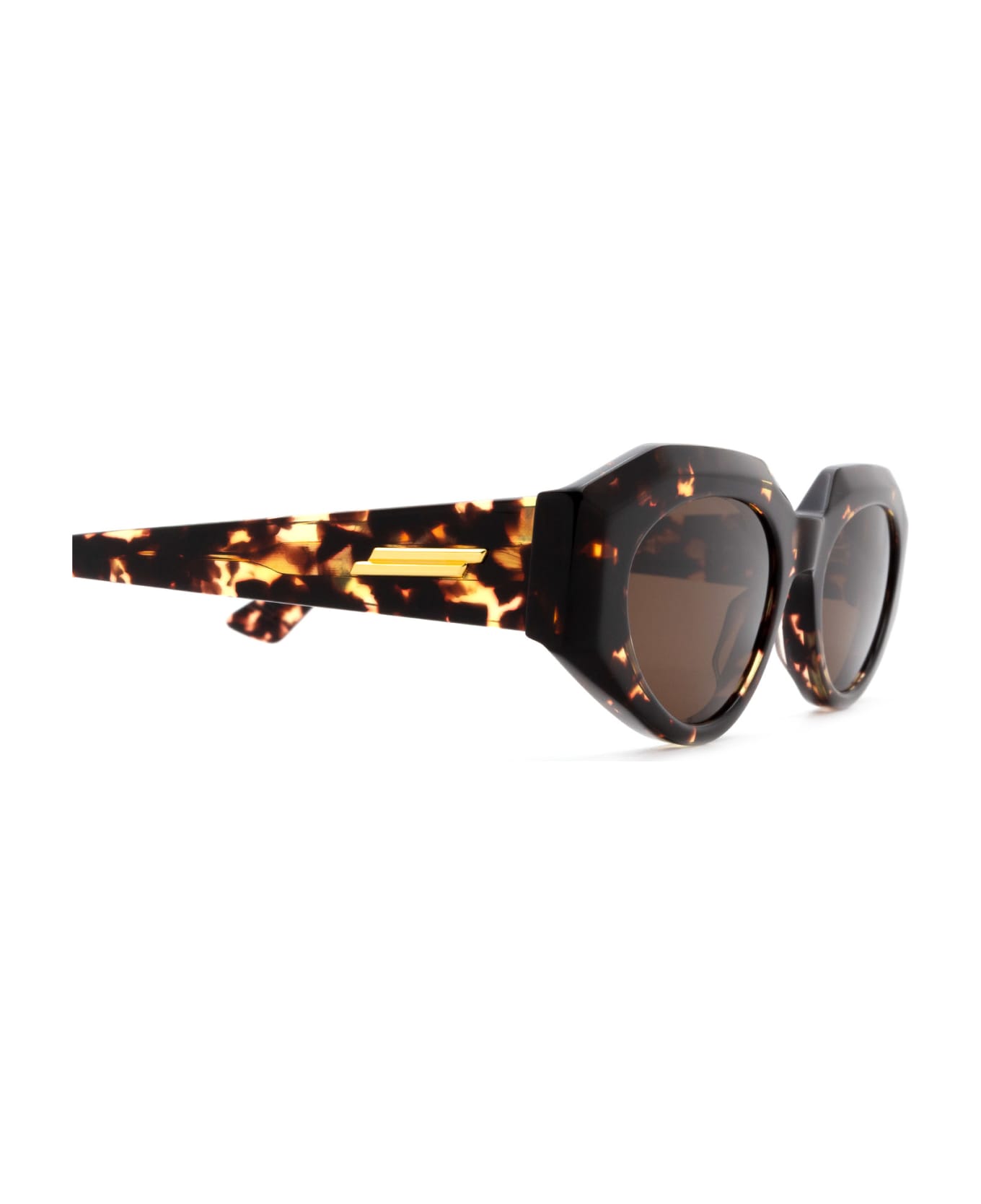 Bottega Veneta Eyewear Bv1031s Havana Sunglasses - Havana