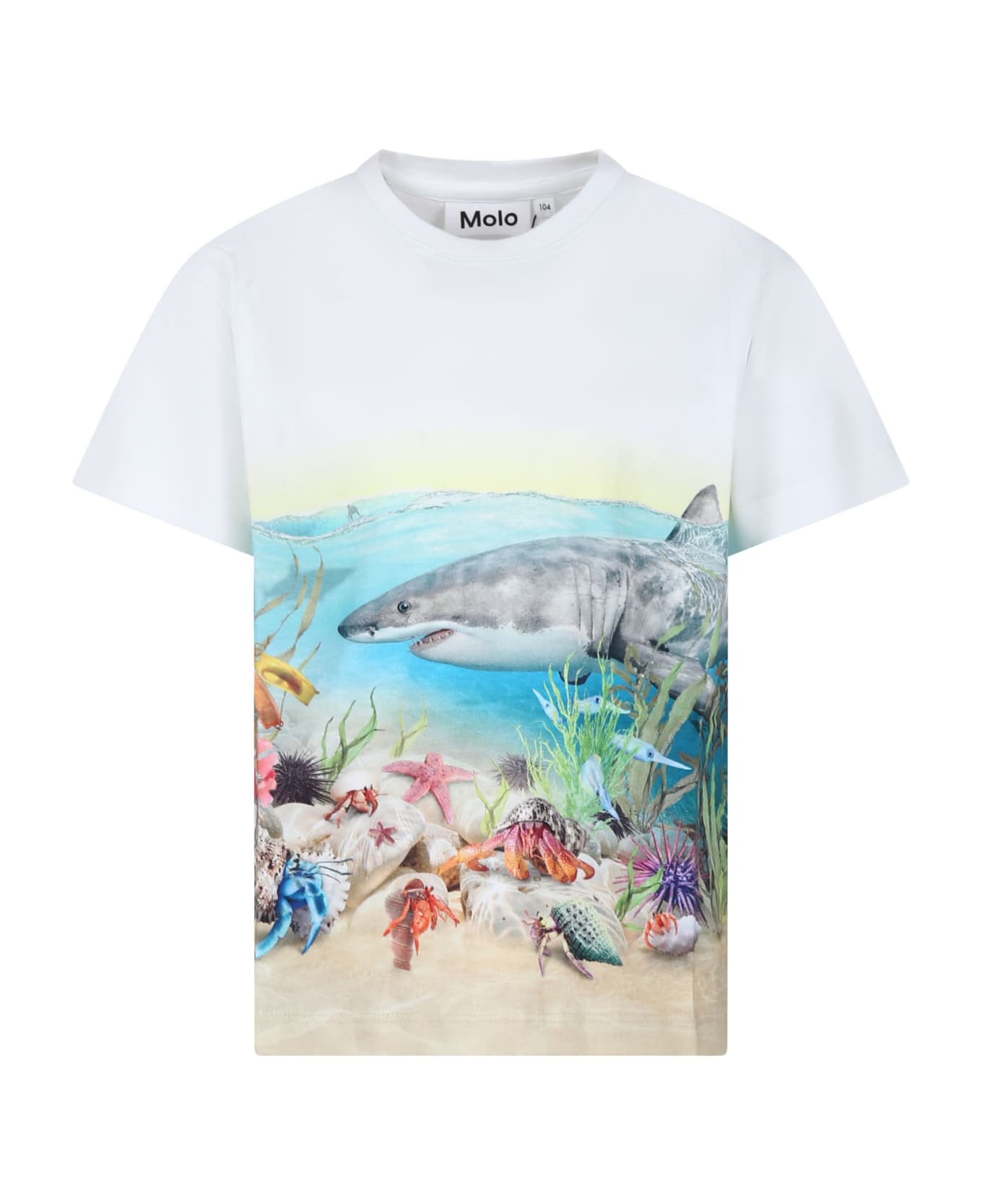 Molo White T-shirt For Boy With Shark Print - White Tシャツ＆ポロシャツ