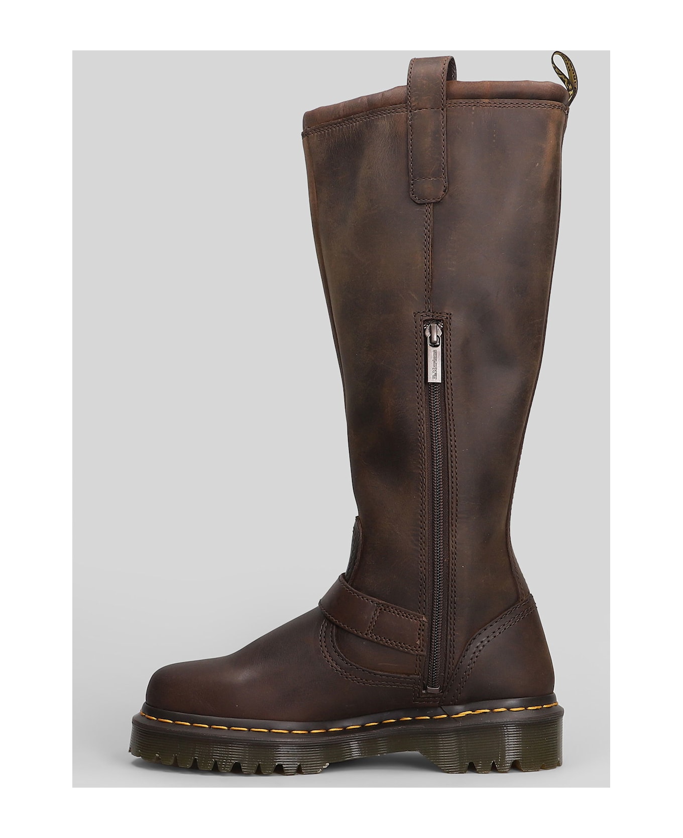 Dr. Martens Anistone Low Heels Boots In Brown Leather - brown