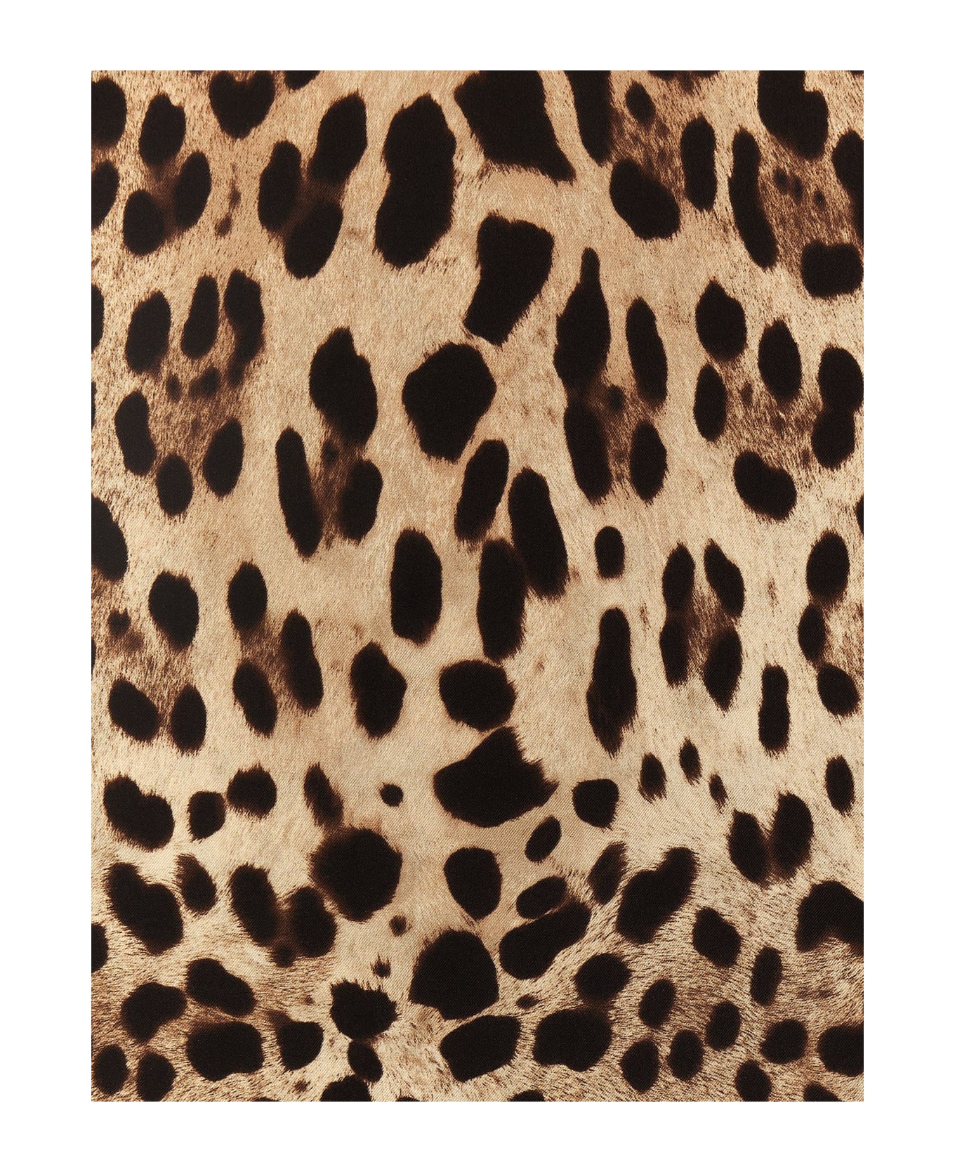 Dolce & Gabbana 'leopard' Scarf - Multicolor