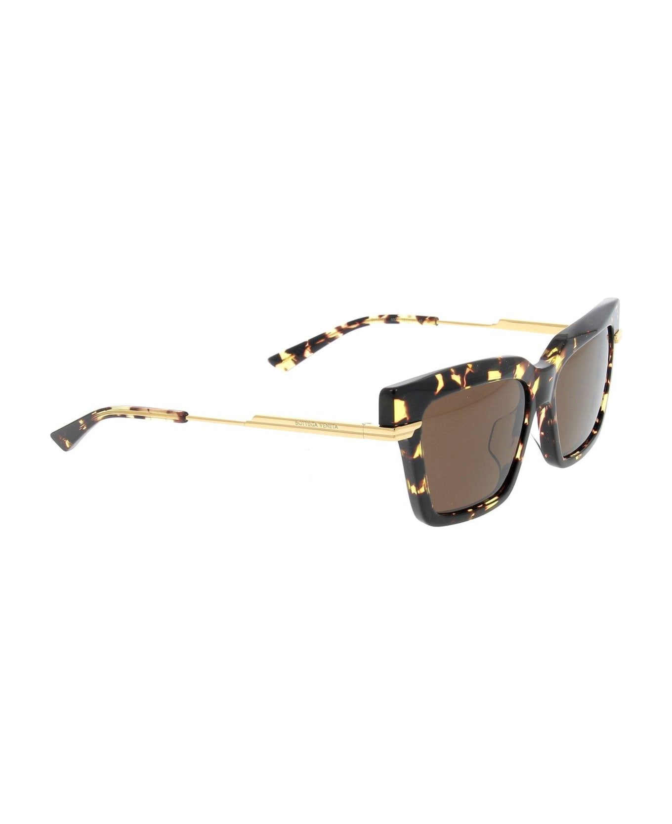 Bottega Veneta Eyewear Cat-eye Frame Sunglasses Sunglasses - 002 HAVANA GOLD BROWN