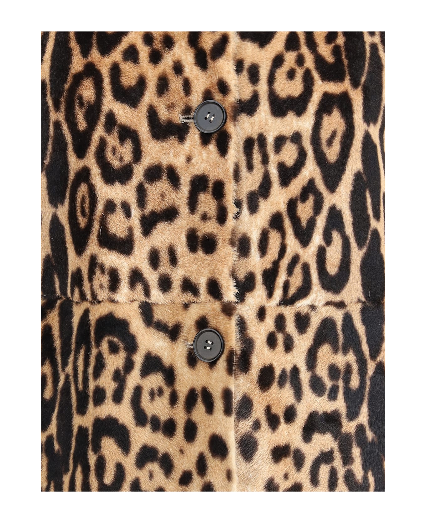 Parosh Leopard-print Coat - MULTICOLOUR