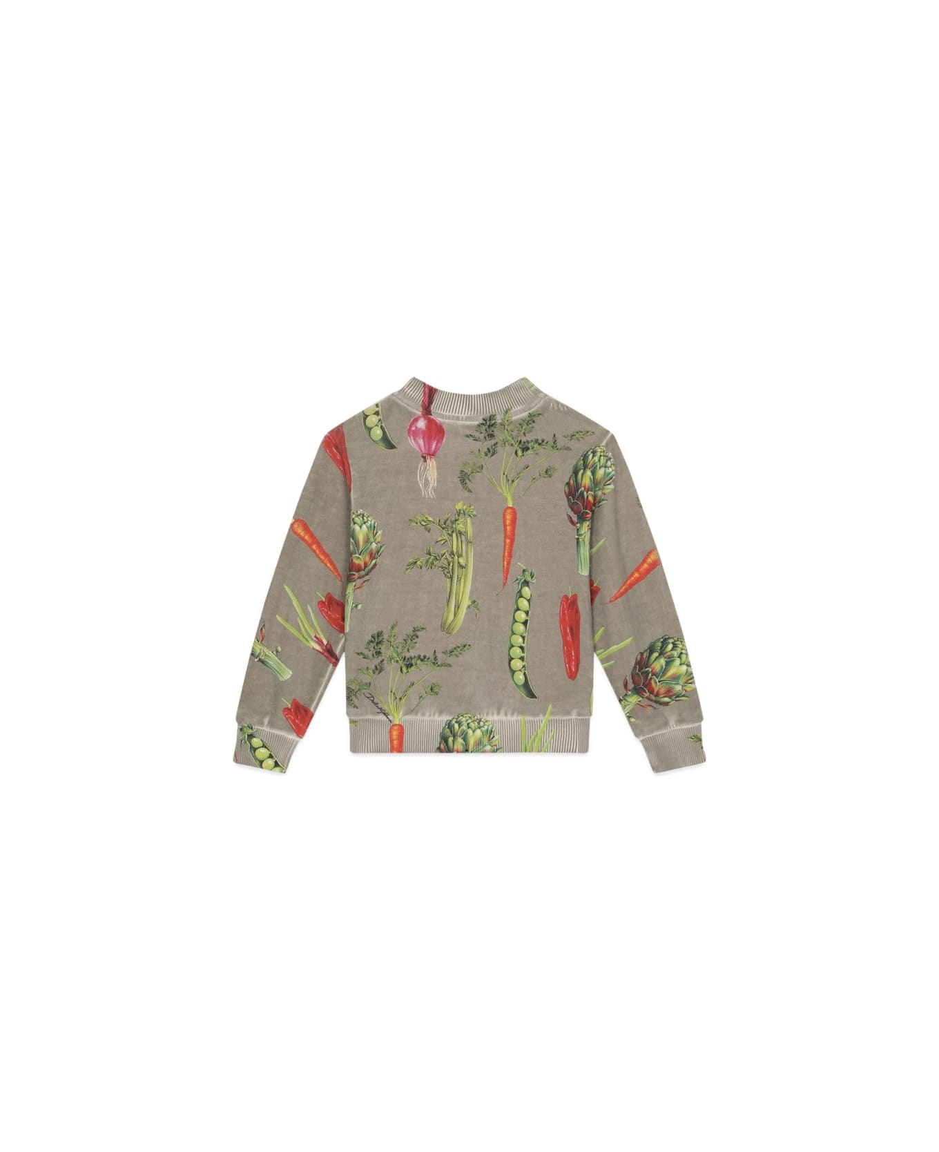 Dolce & Gabbana Crewneck Sweatshirt - MULTICOLOUR