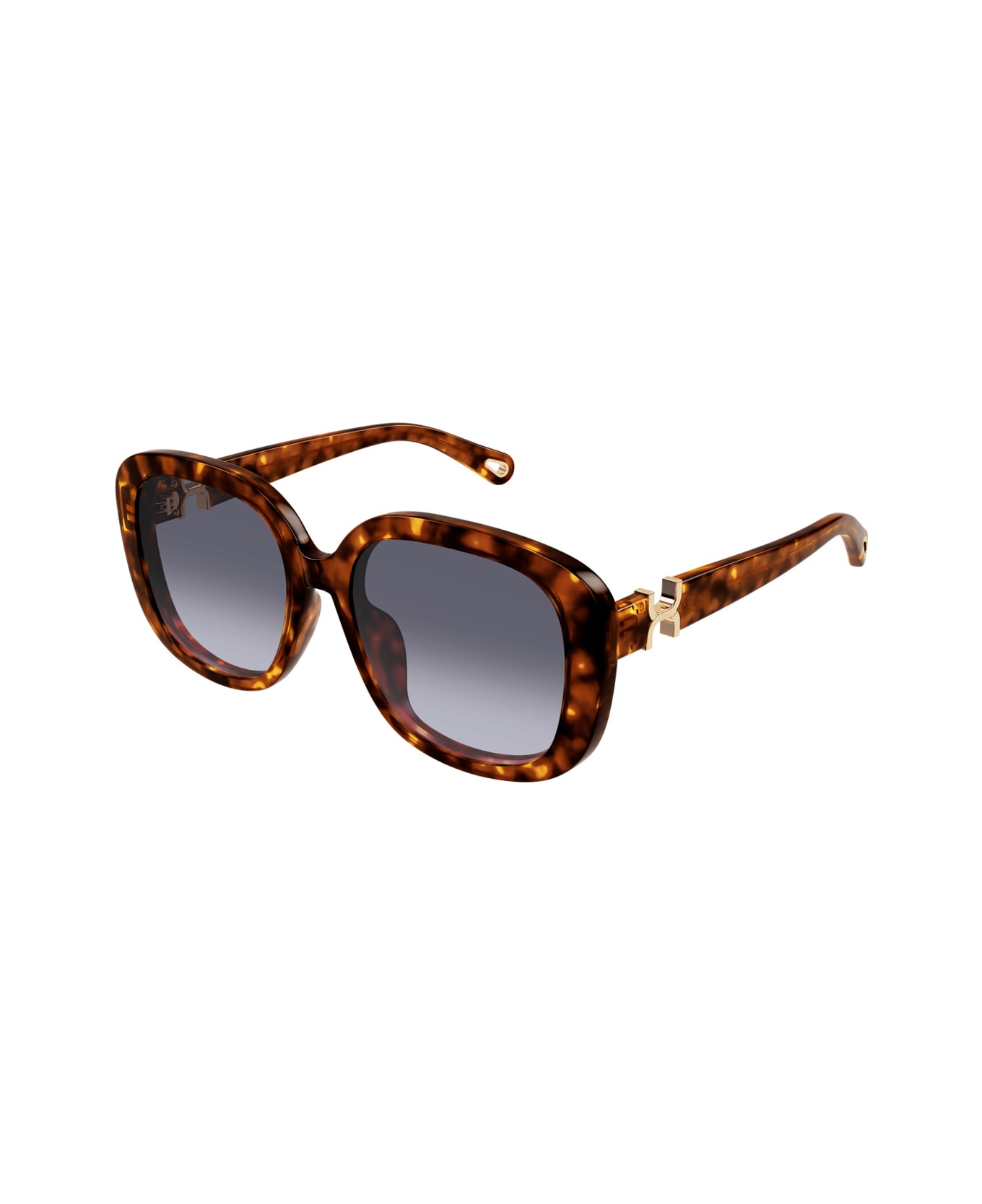 Chloé Ch0303sk Marcie-linea Chloé 002 Havana Violet Sunglasses - Havana
