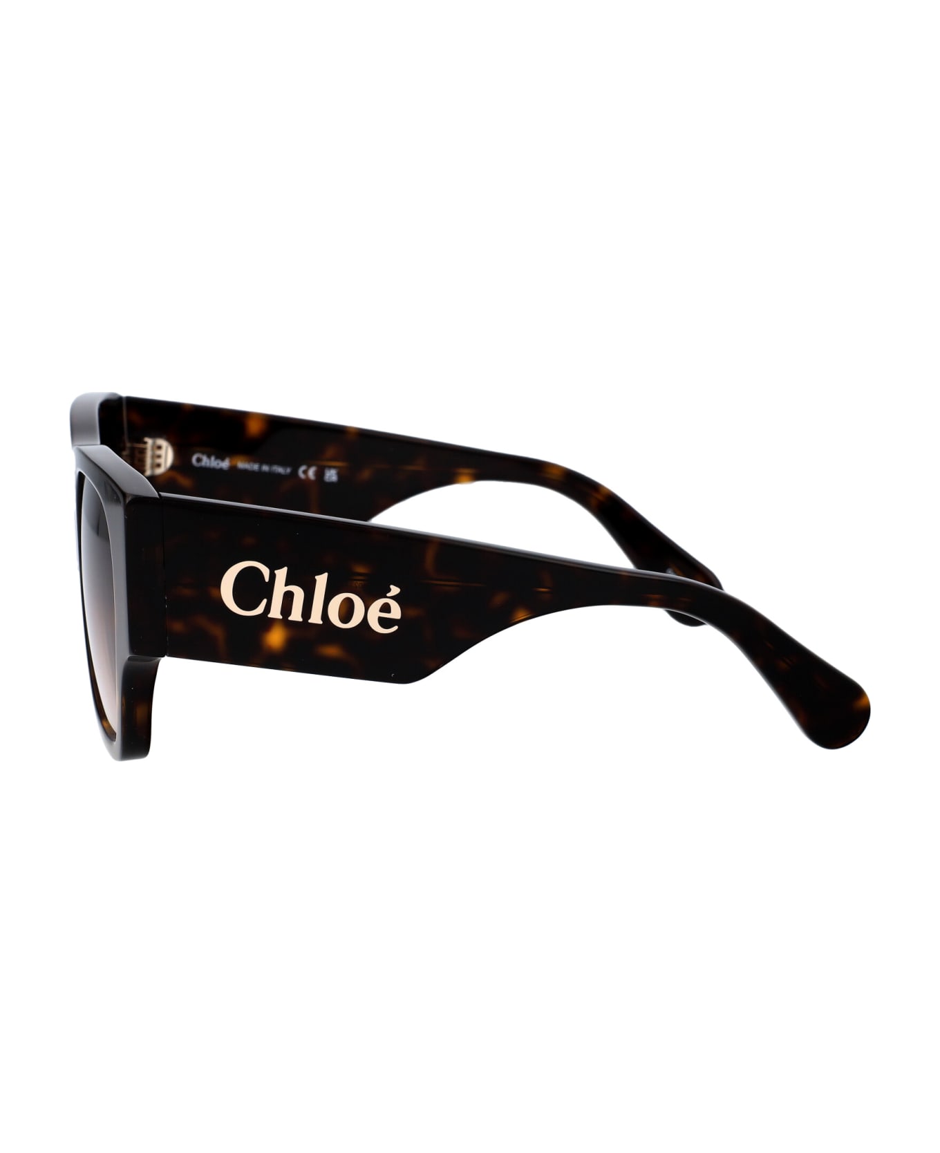Chloé Eyewear Ch0233s Sunglasses - 002 HAVANA HAVANA BROWN