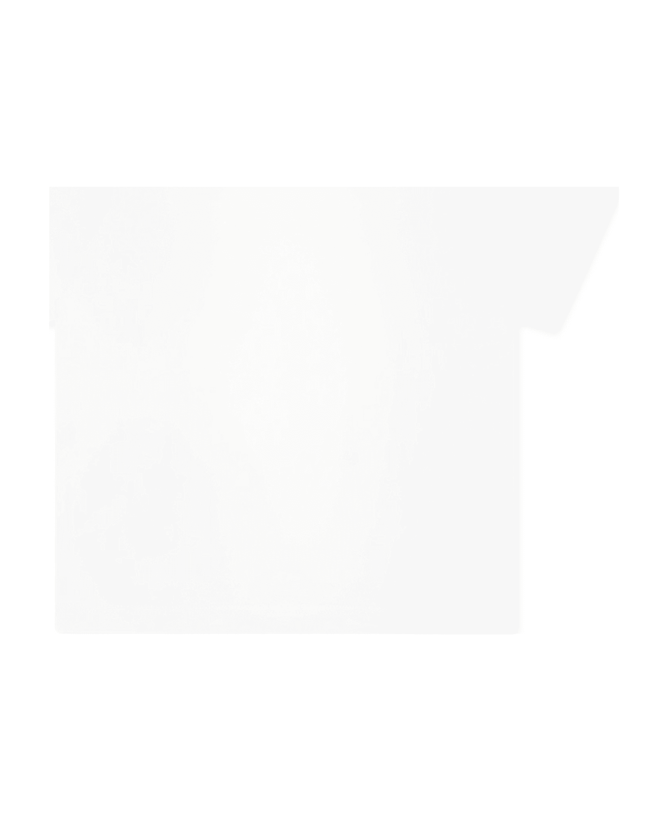 Stella McCartney Kids White T-shirt For Baby Boy With Frog - White