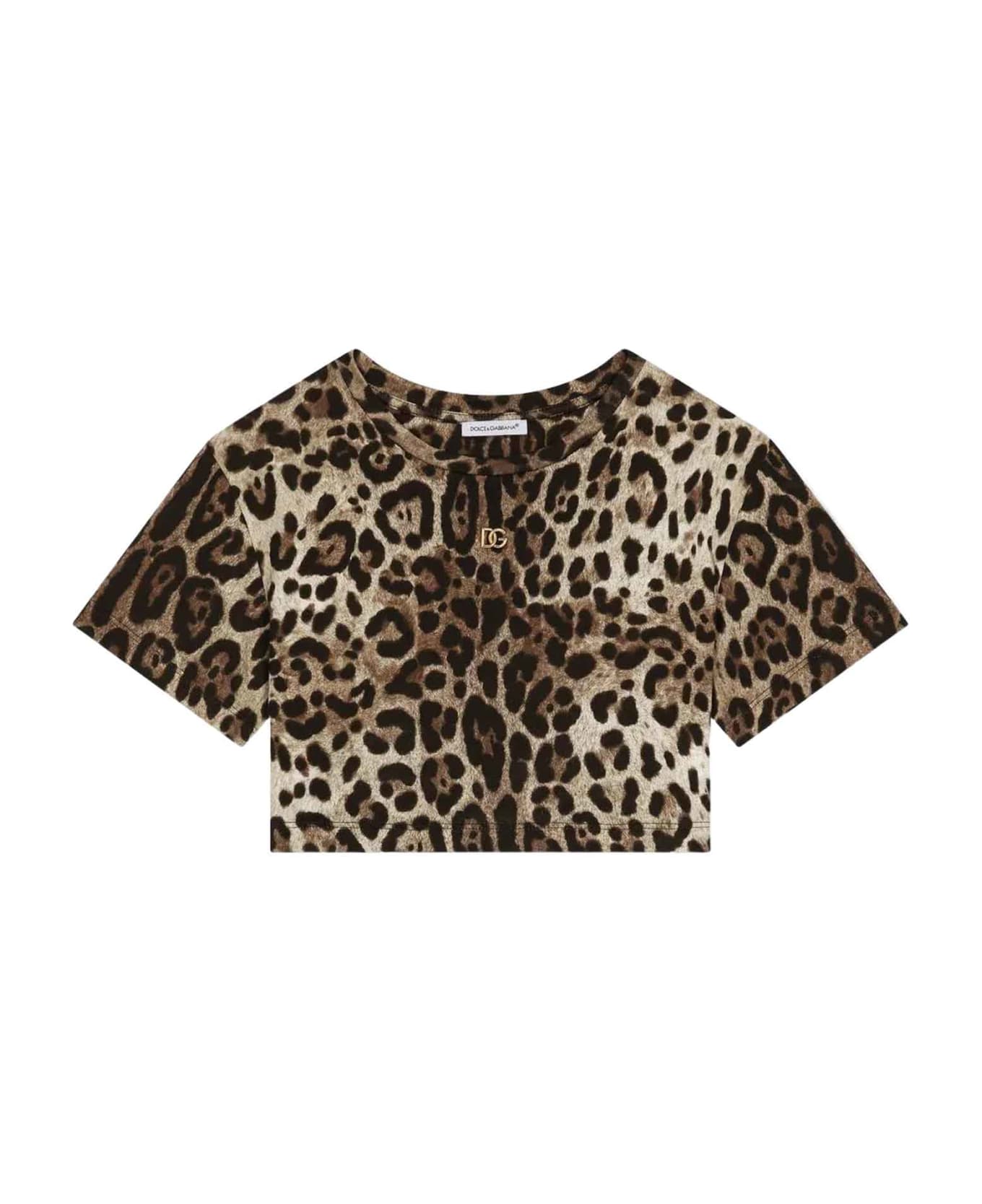 Dolce & Gabbana Brown T-shirt Girl - Leopardato
