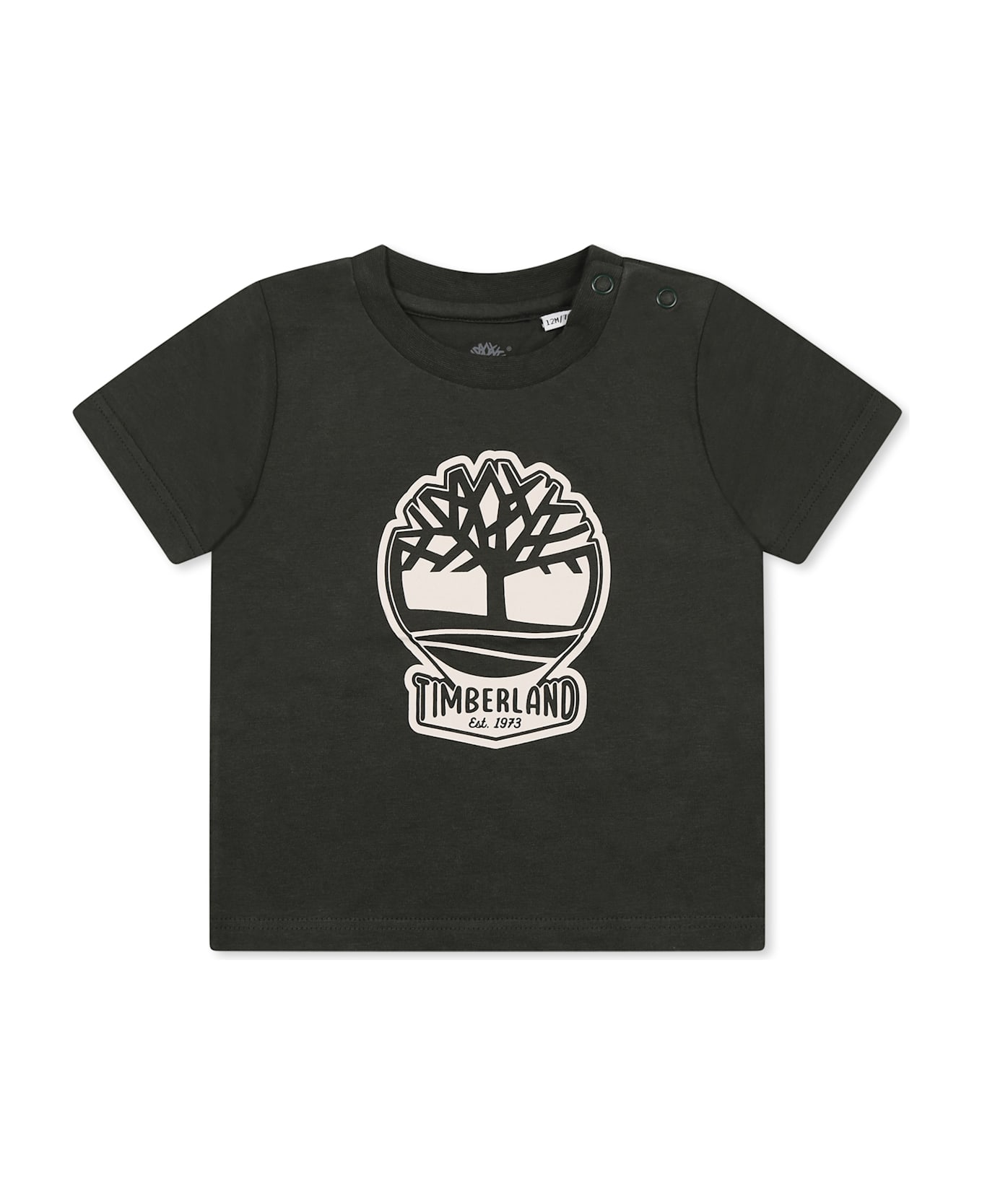 Timberland Green T-shirt For Baby Boy With Tree - Green