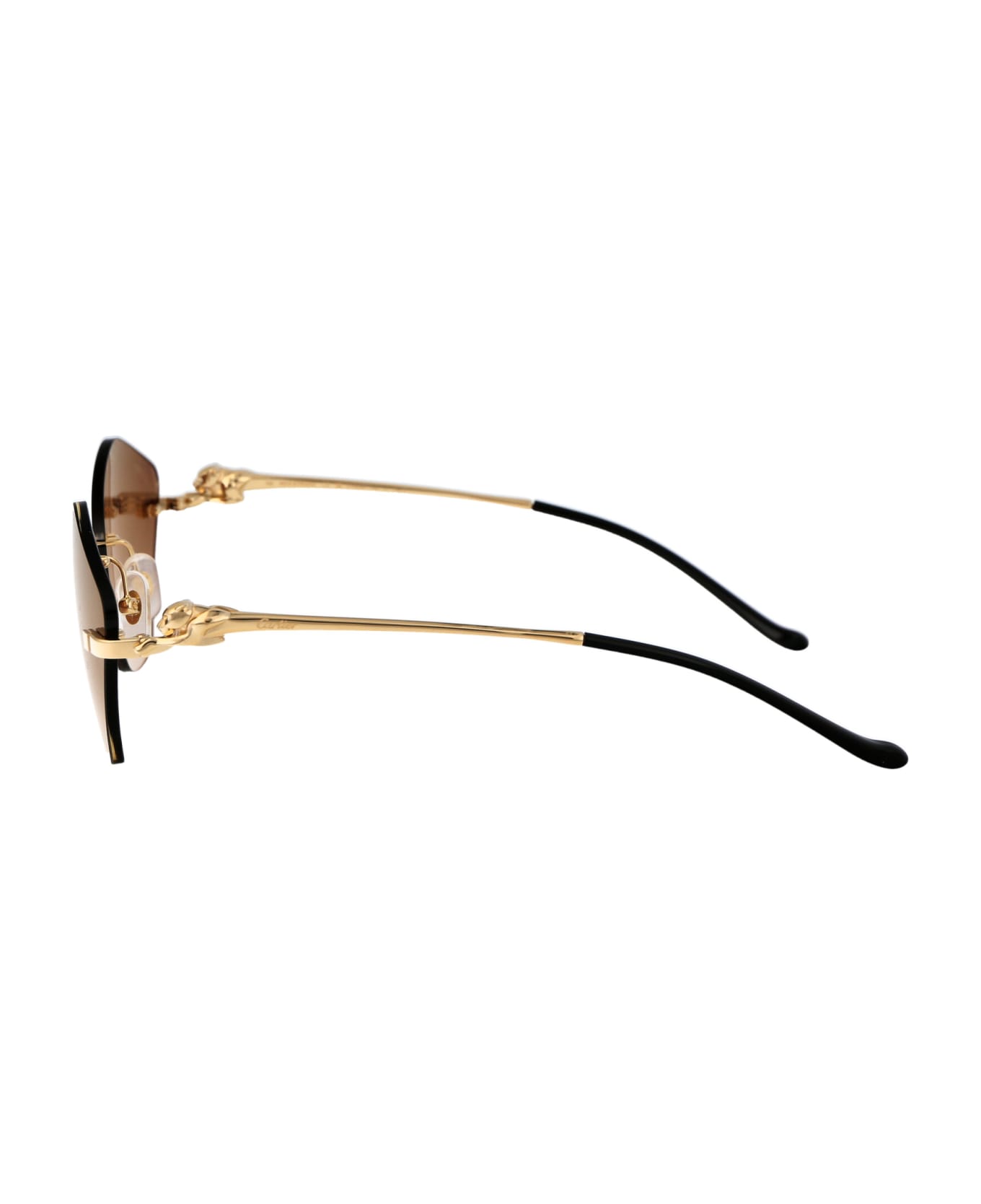 Cartier Eyewear Ct0429s Sunglasses - 002 GOLD GOLD BROWN サングラス