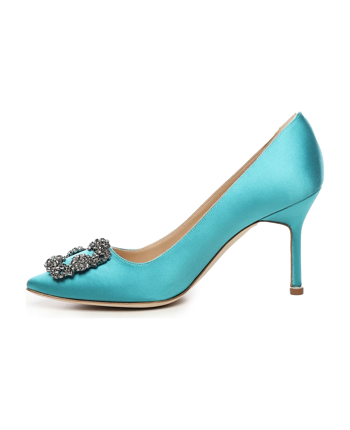 Manolo Blahnik Hangisi Pumps - Turq