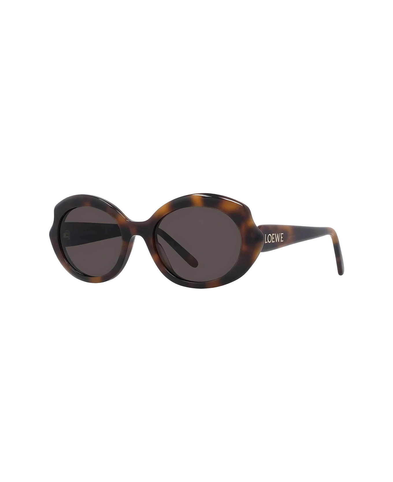 Loewe Lw40147i Slim 52e Havana Lucido Sunglasses - Marrone