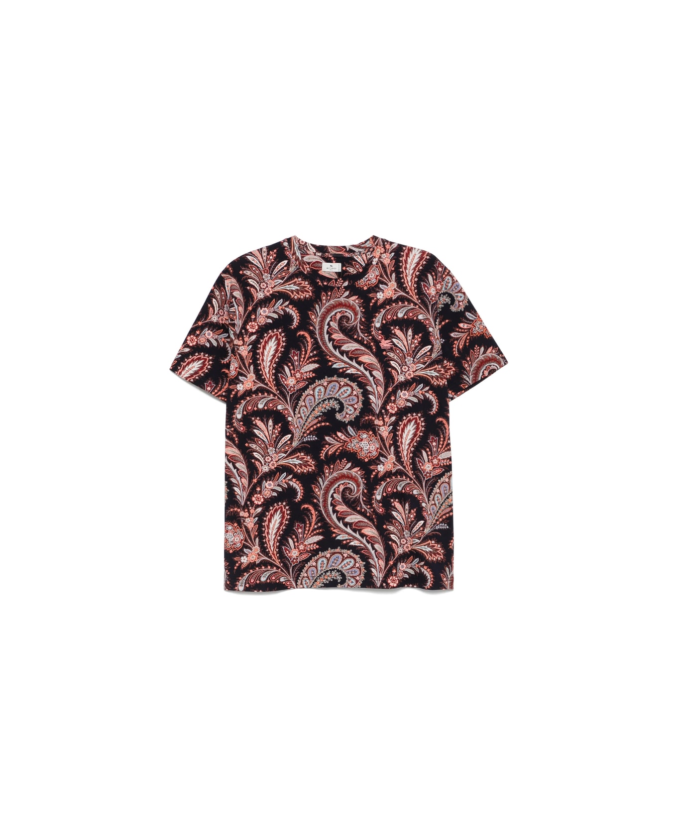 Etro T-shirt - BLUE/PINK