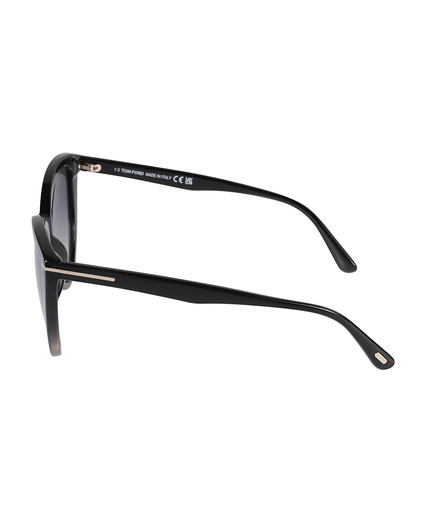 Tom Ford Eyewear Round Lens T-plaque Sunglasses - N/A