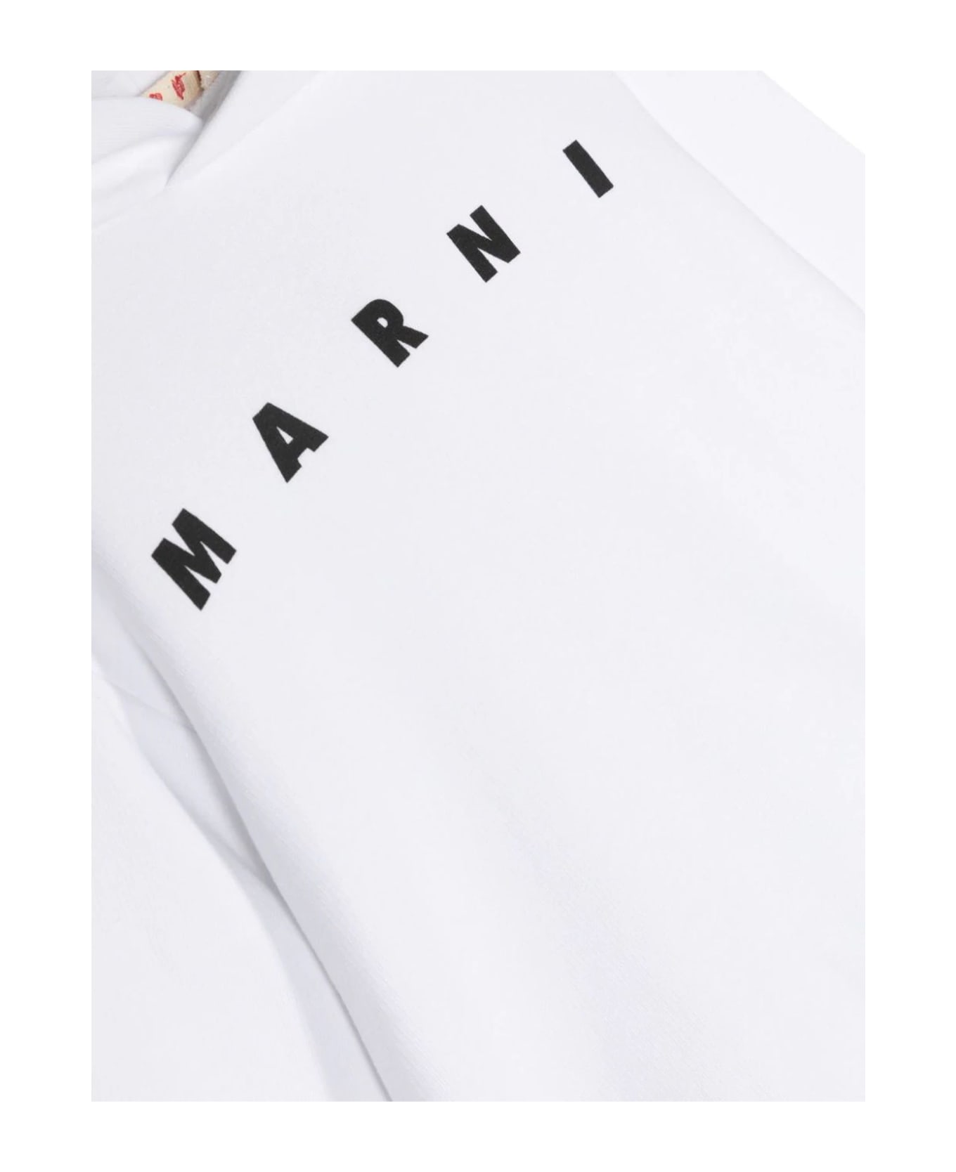 Marni Sweaters White - White ニットウェア＆スウェットシャツ