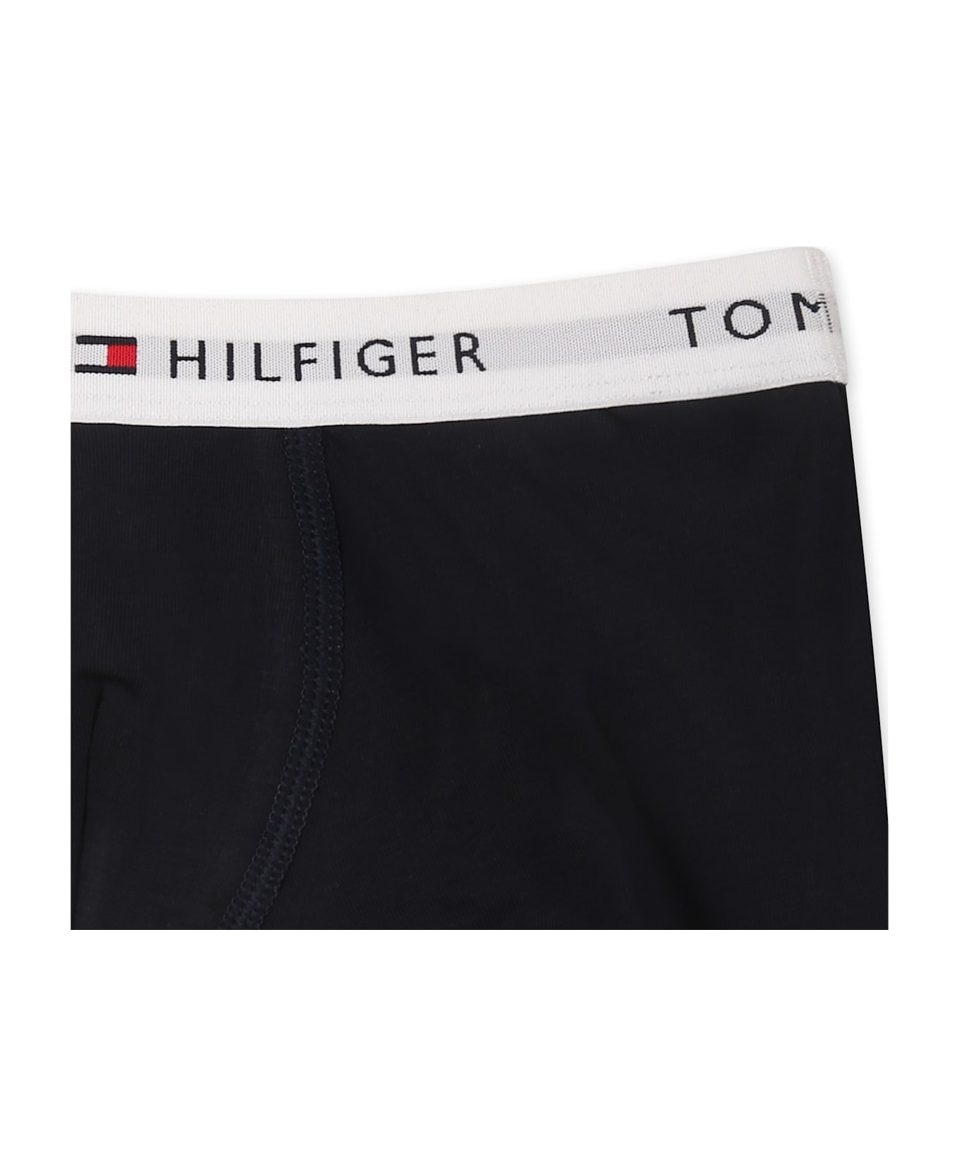 Tommy Hilfiger Blue Boxer Briefs Set For Boy With Logo - Blue