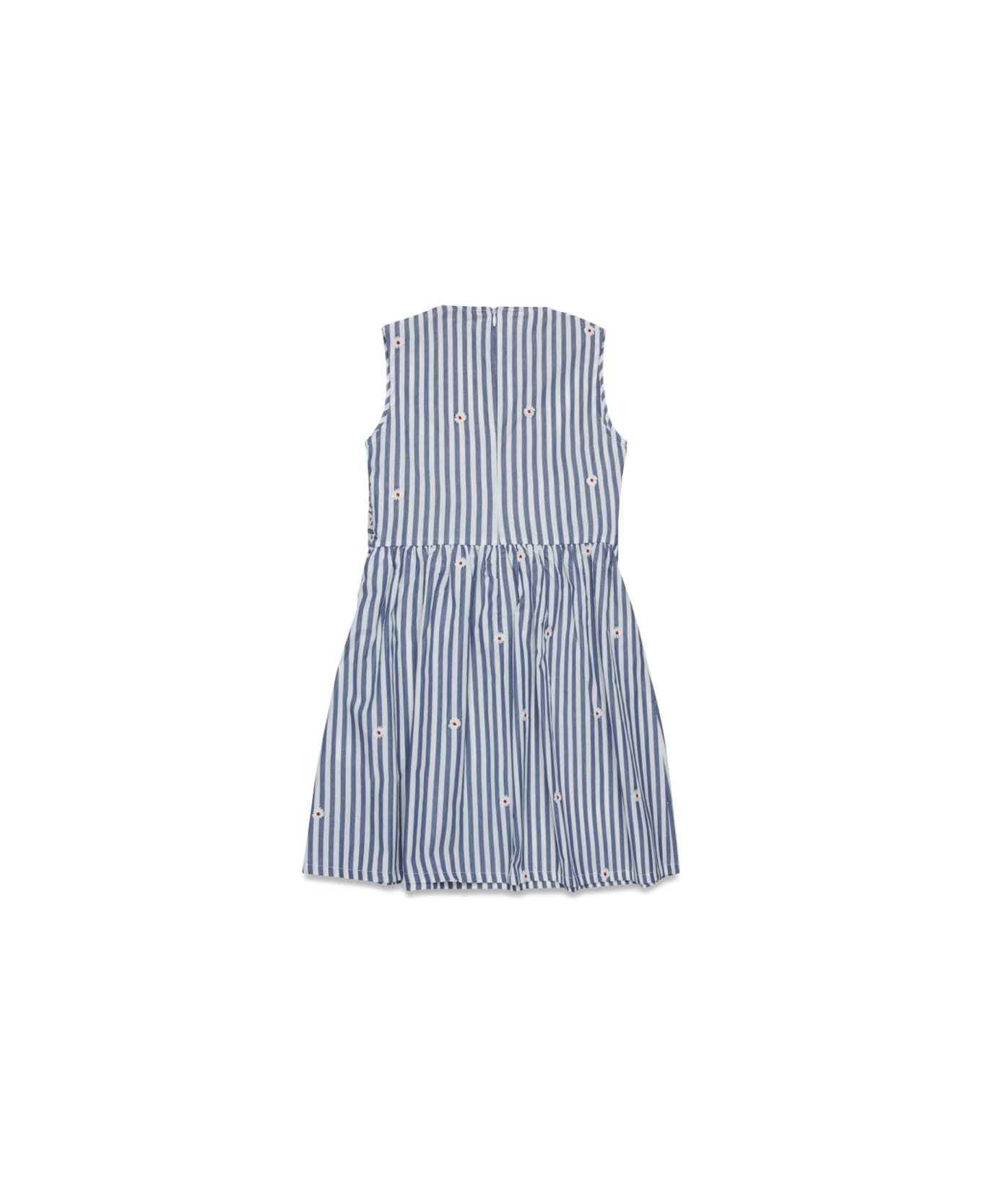 Max&Co. Dress - MULTICOLOUR