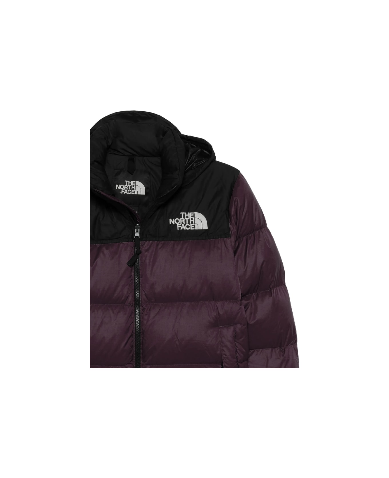 The North Face Outerwear - PURPLE