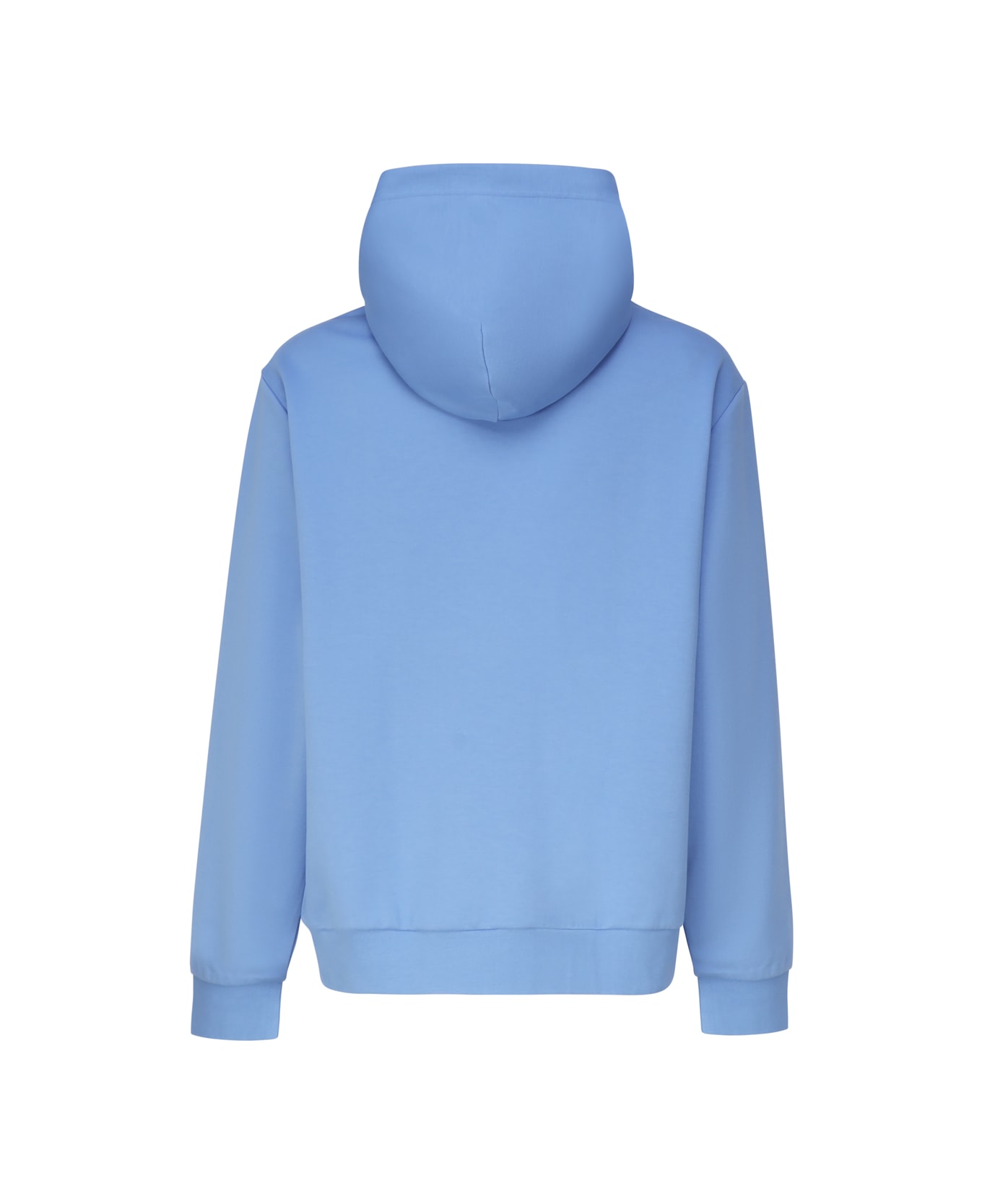 Polo Ralph Lauren Sweatshirt With Embroidery - Light blue