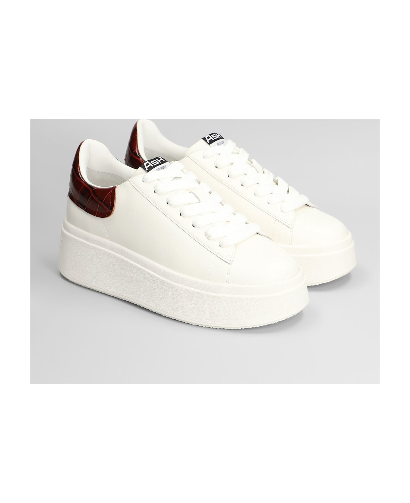 Ash Moby Sneakers In White Leather - white