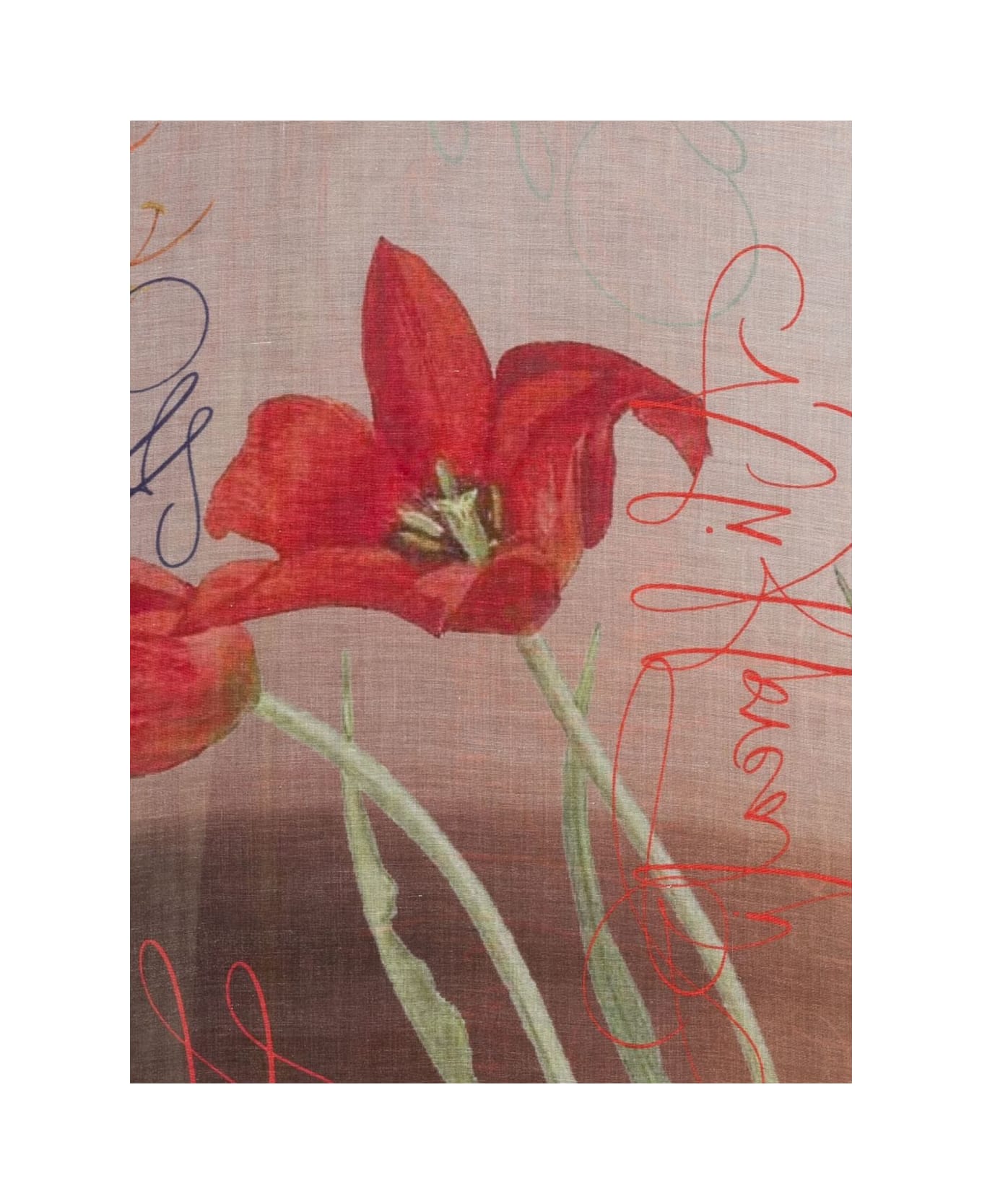 Faliero Sarti Flowers Feel Print Stole - MultiColour