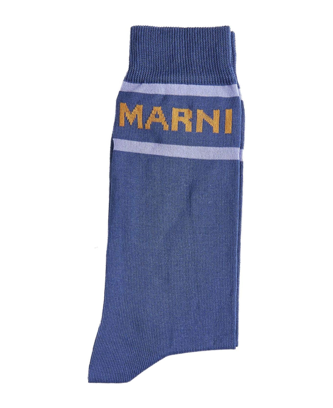 Marni Socks - Blue sodalite