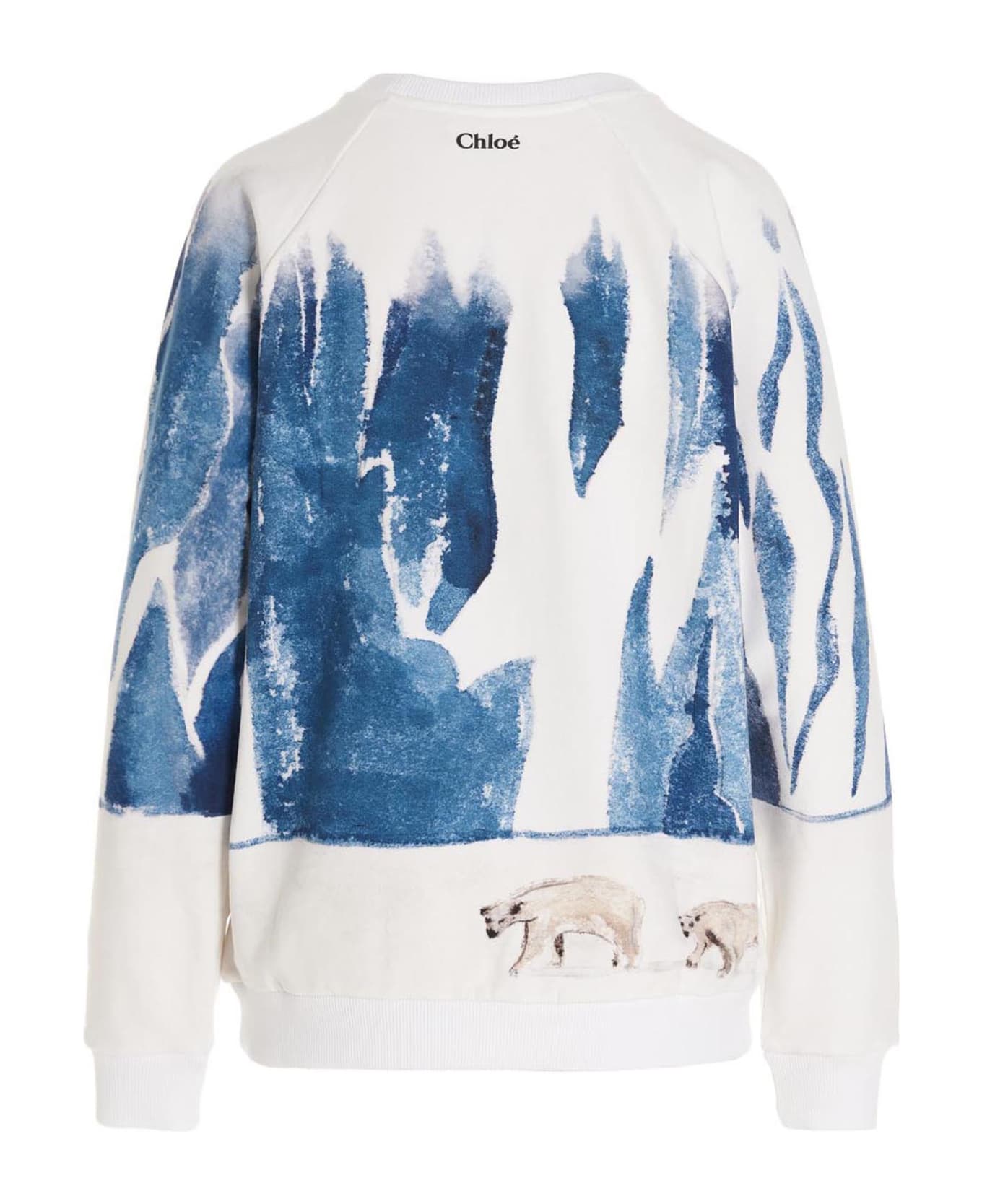 Chloé 'arctic Ice  Sweatshirt - Multicolor