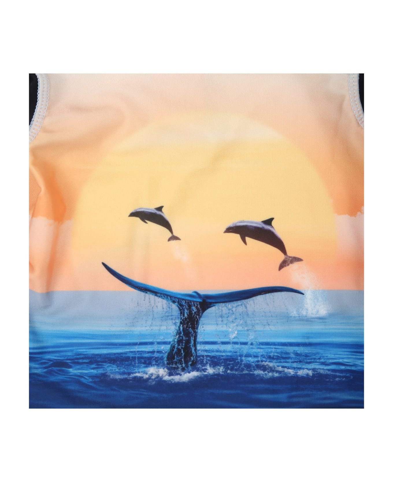 Molo Orange T-shirt For Baby Boy With Dolphins - Multicolor