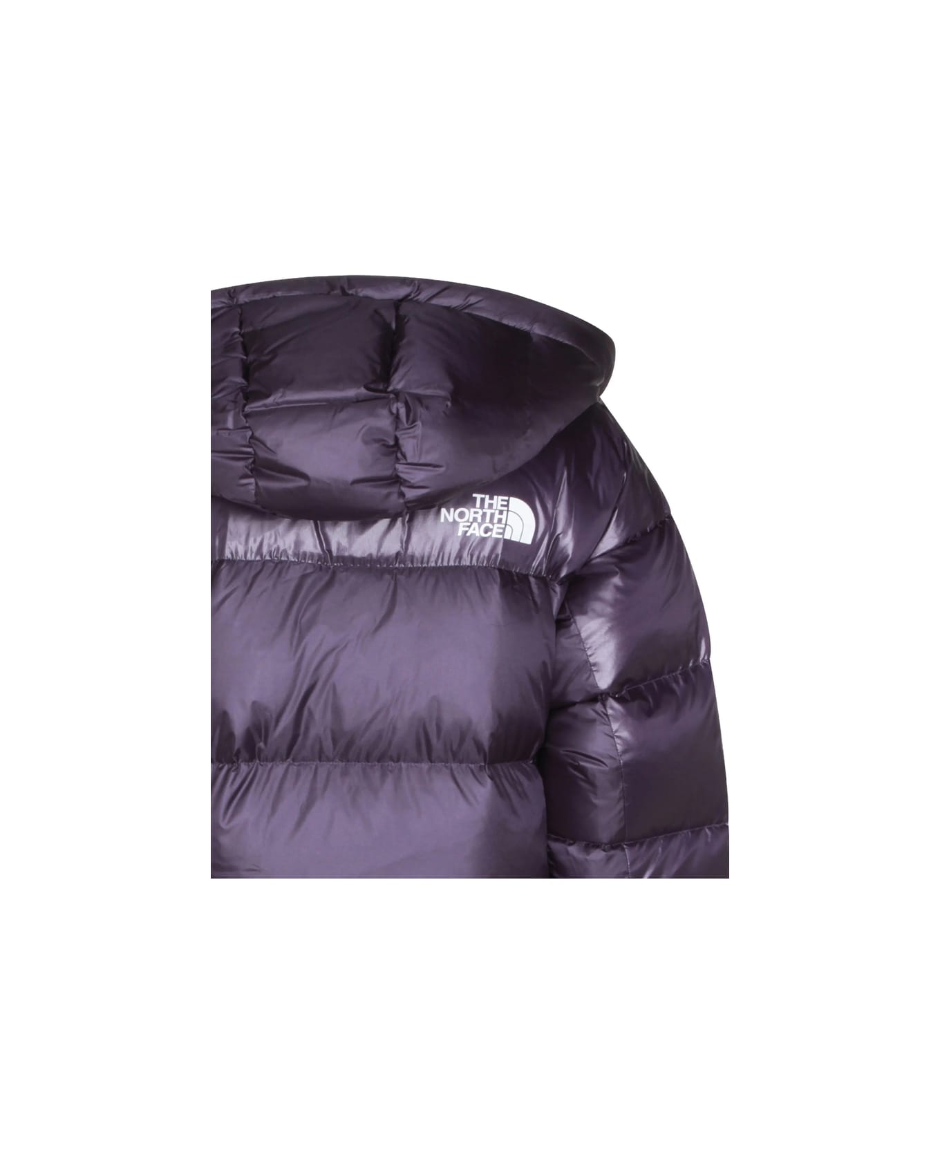 The North Face Outerwear - PURPLE/GREEN