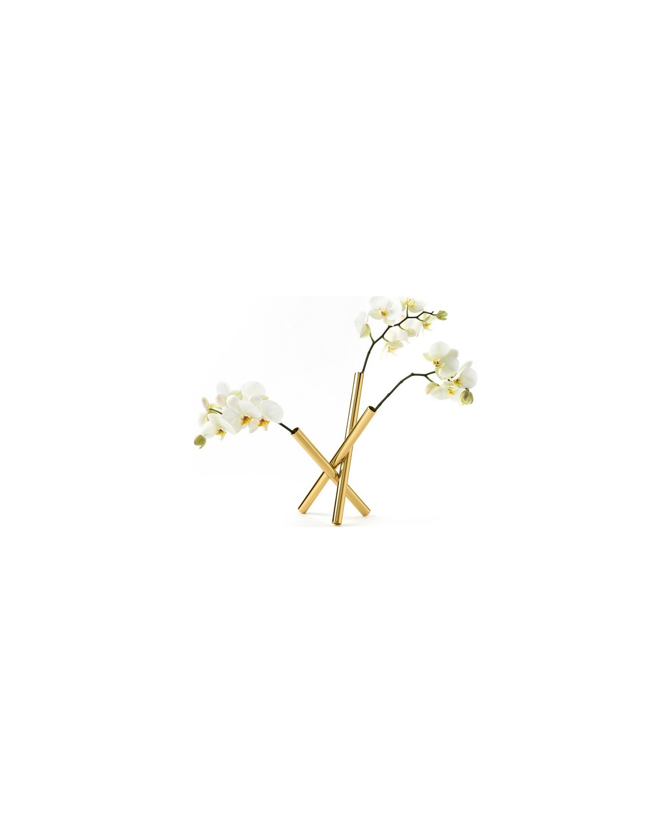 Ghidini 1961 Sticks - Flowers Pot Polished Brass - Polished brass
