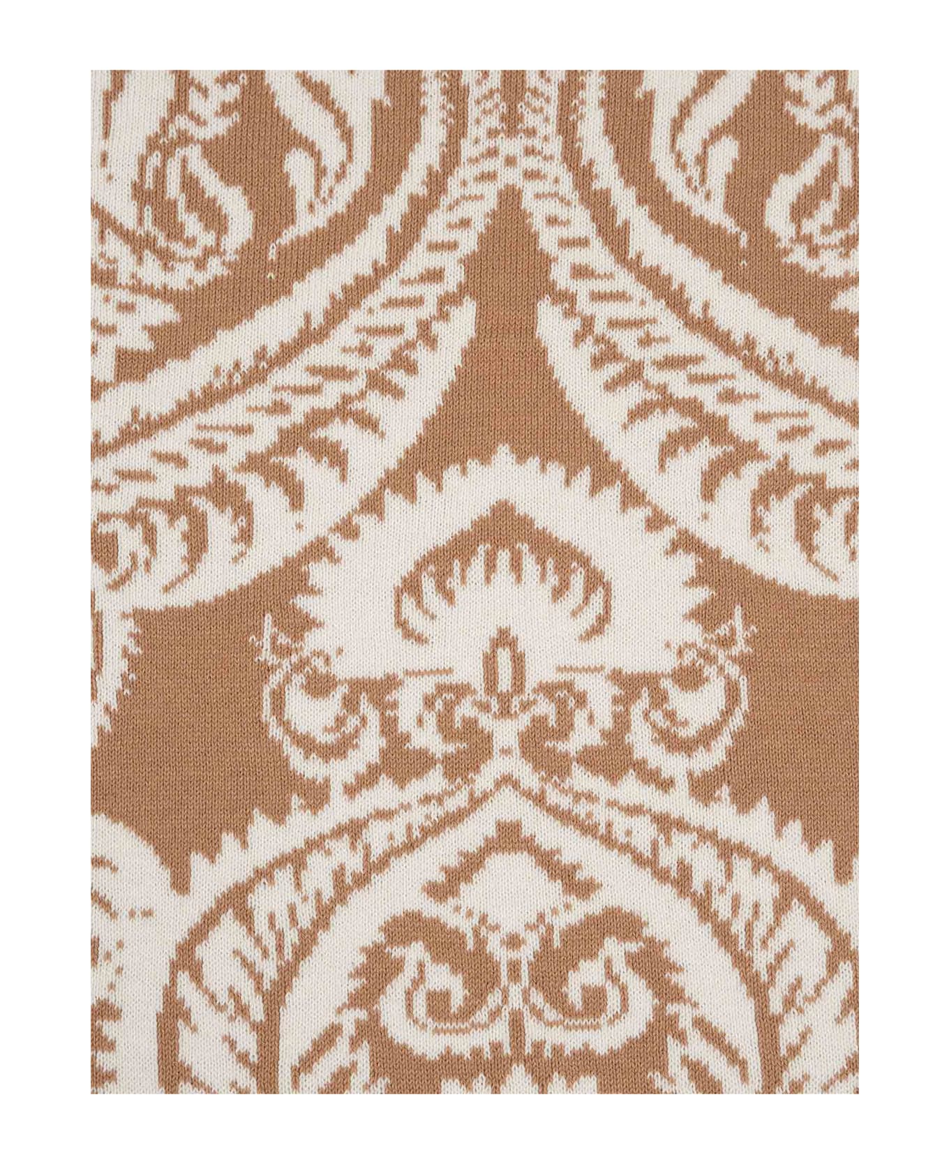 Etro Blanket - BROWN