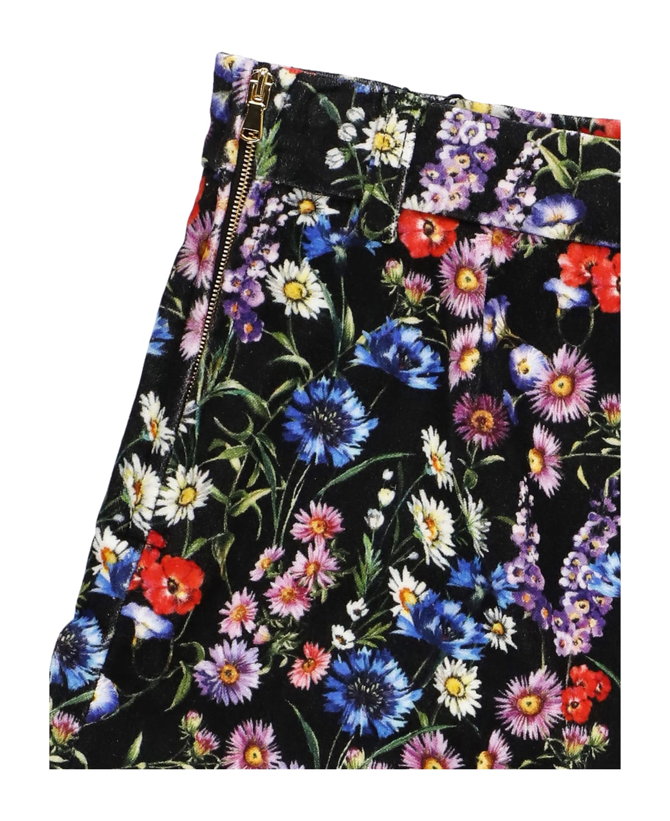 Dolce & Gabbana Velvet Shorts - MultiColour