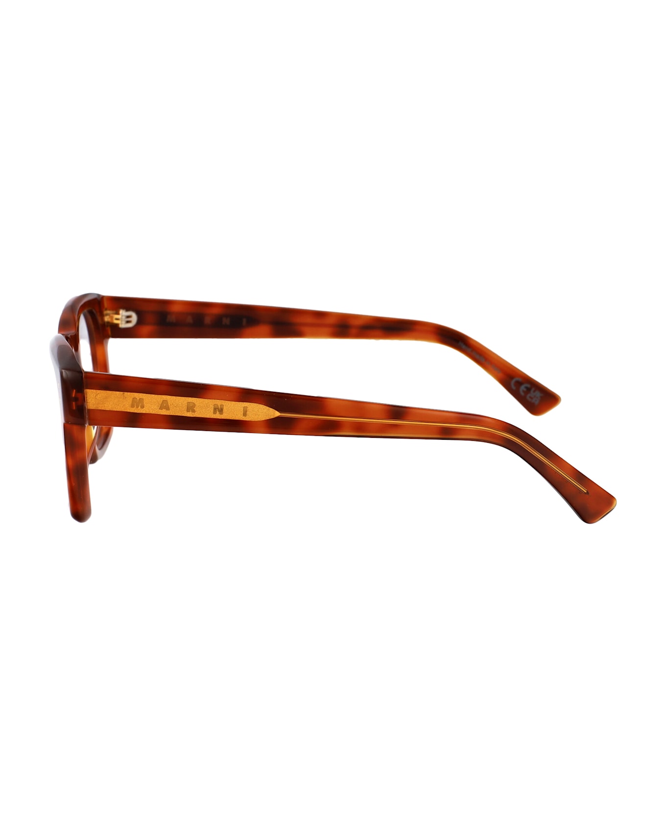 Marni Eyewear Abiod Glasses - BLONDE HAVANA