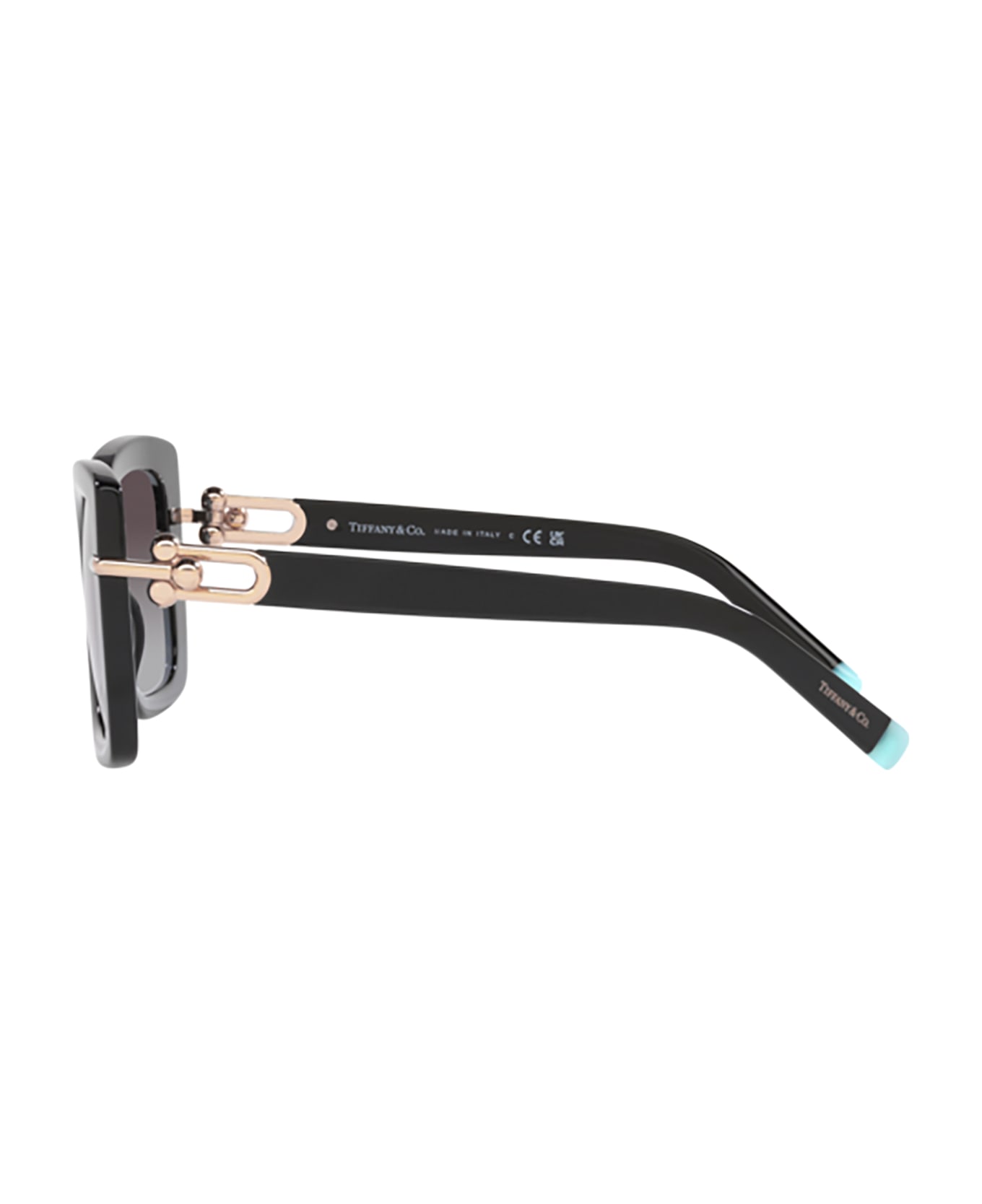 Tiffany & Co. 4199 SOLE Sunglasses - C
