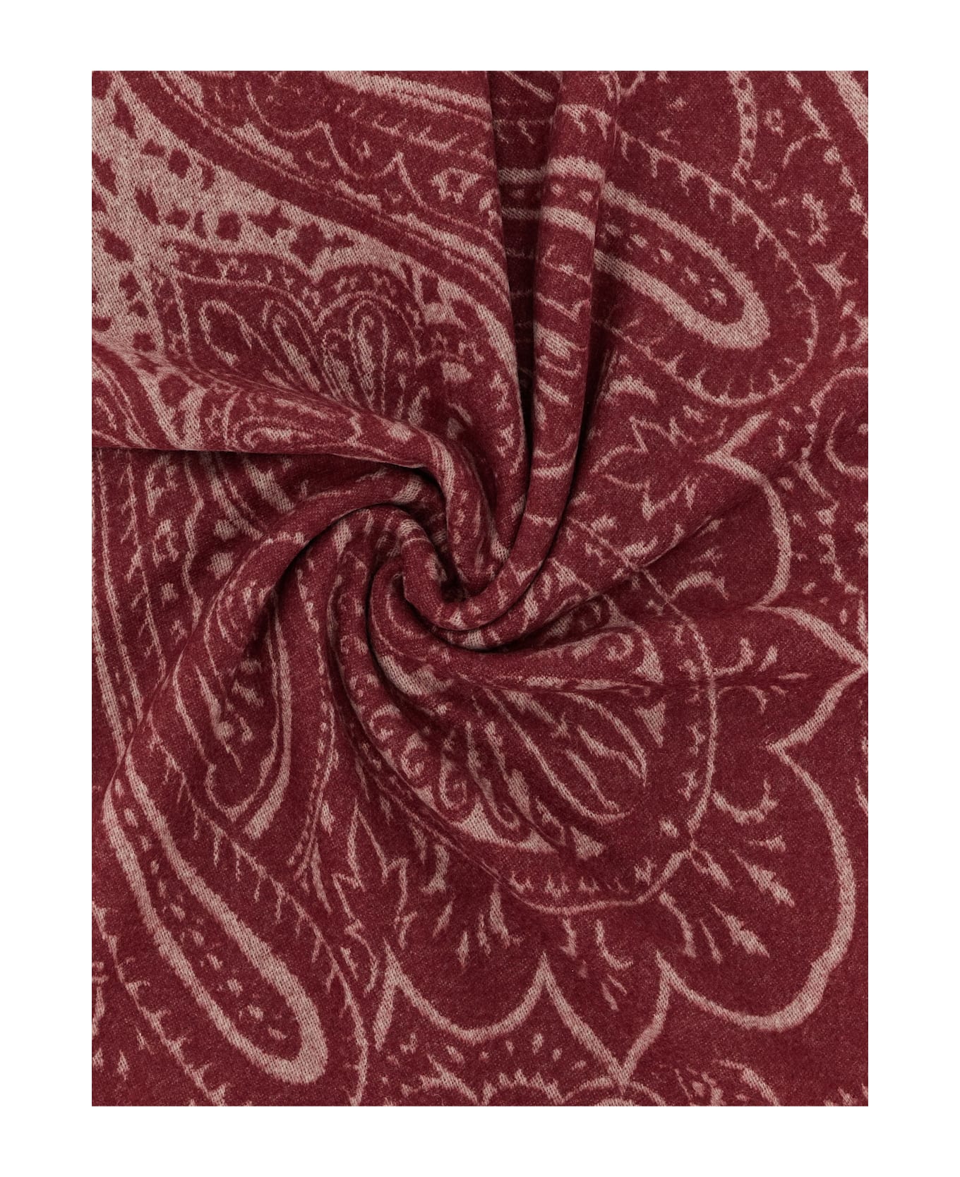 Etro 'alocasia' Plaid - Bordeaux