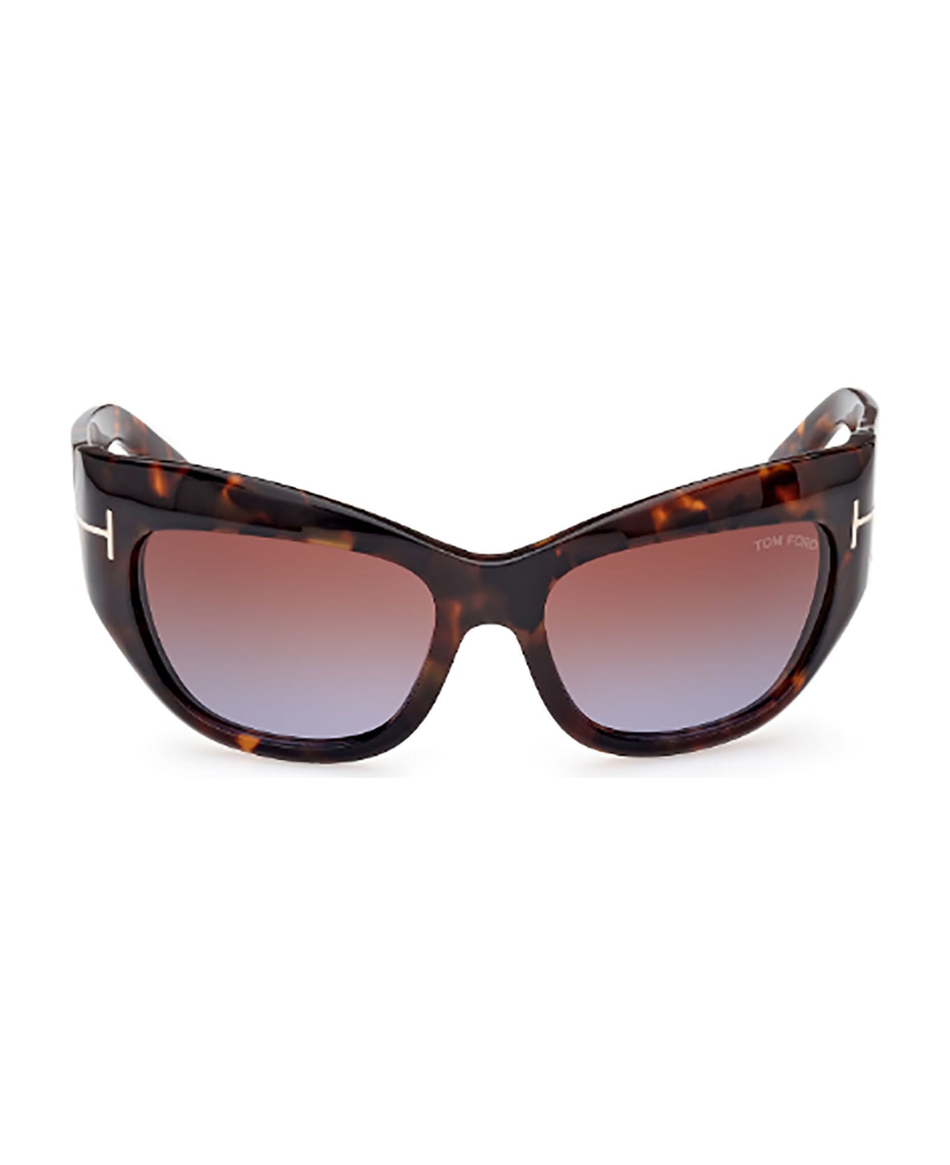 Tom Ford Eyewear FT1065 Sunglasses - F