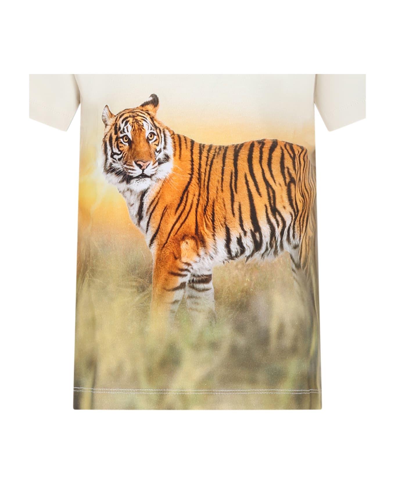 Molo Ivory T-shirt For Boy With Tiger - Ivory Tシャツ＆ポロシャツ