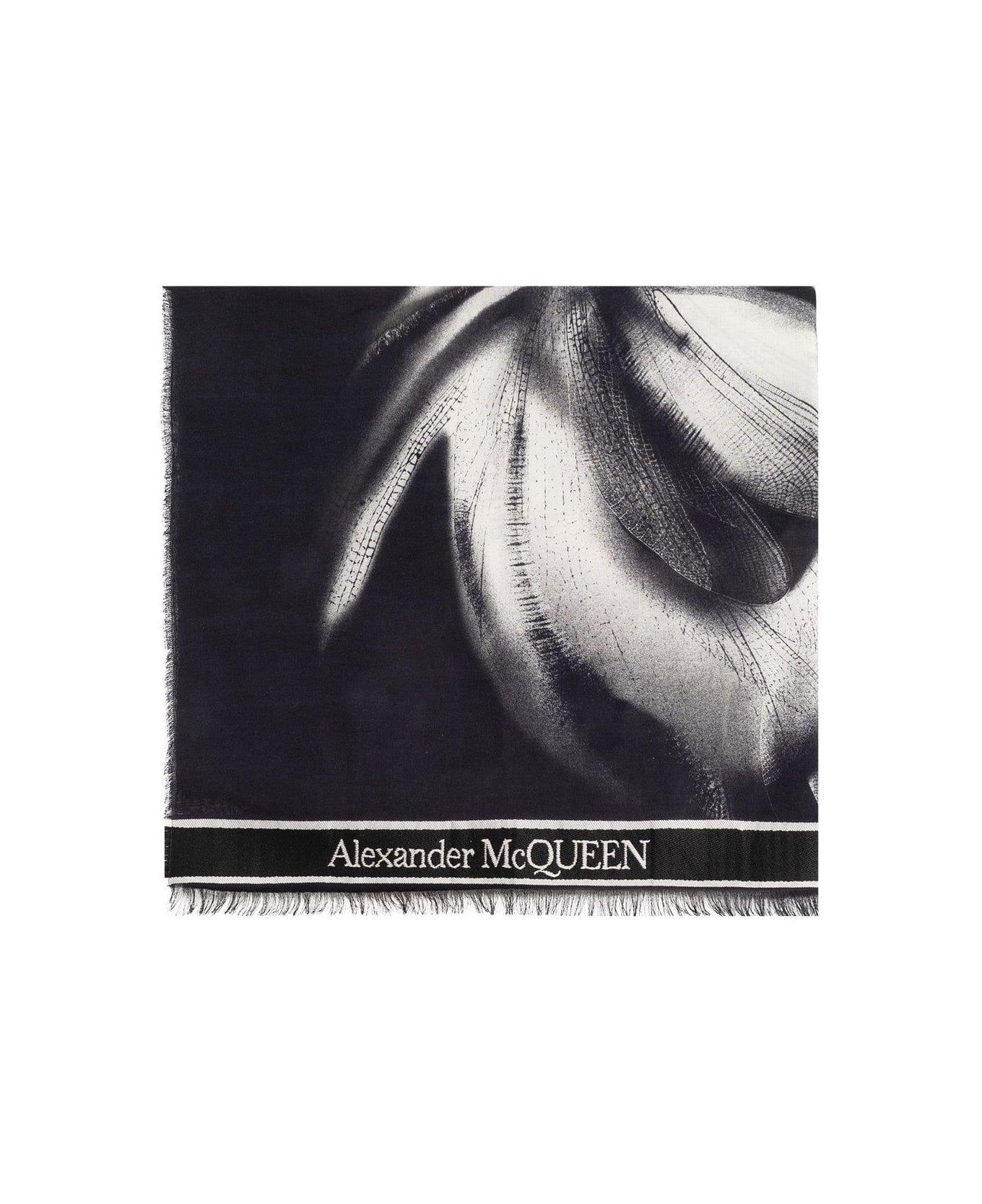 Alexander McQueen Graphic Printed Scarf - BLACK