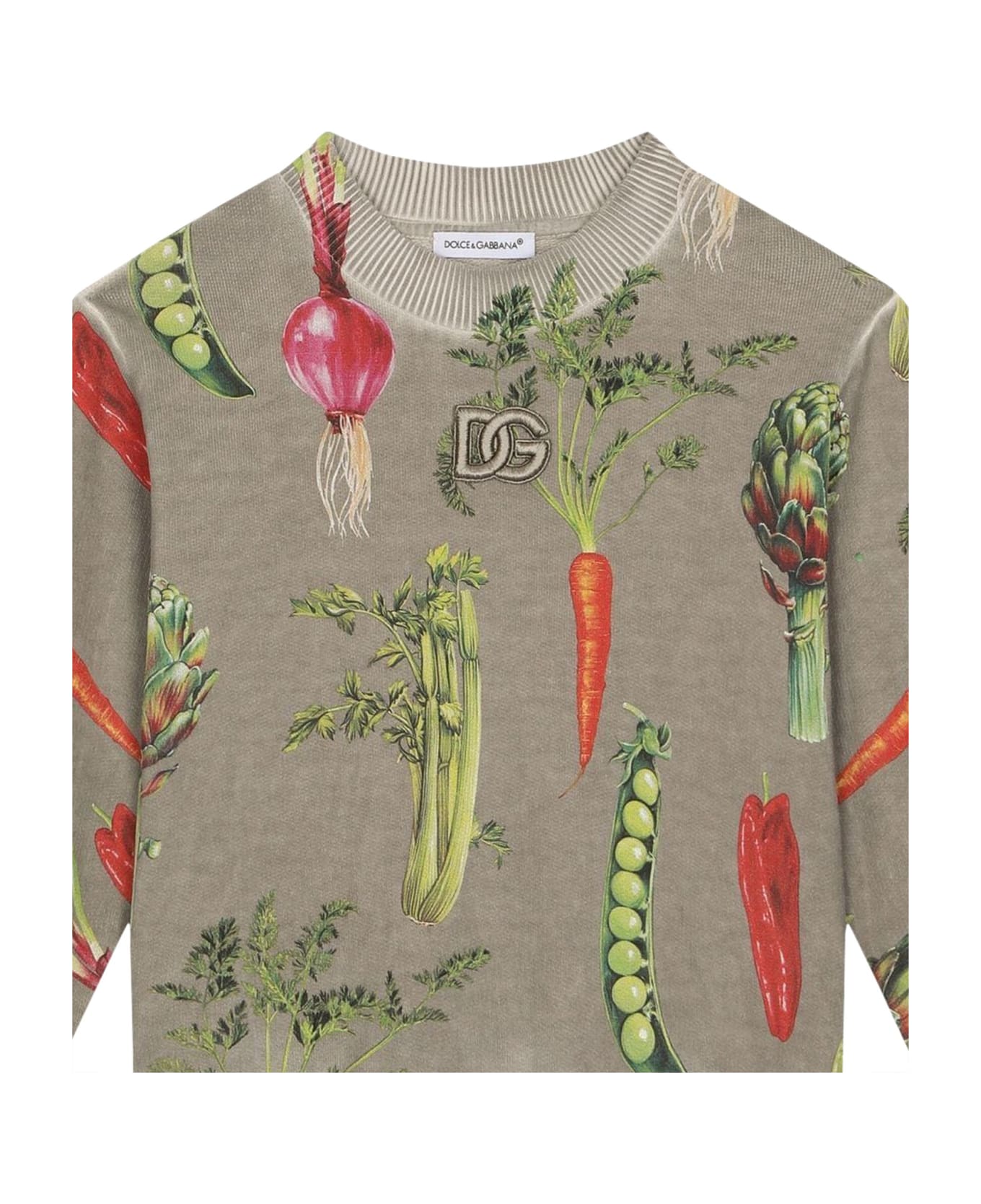 Dolce & Gabbana Crewneck Sweatshirt - MULTICOLOR