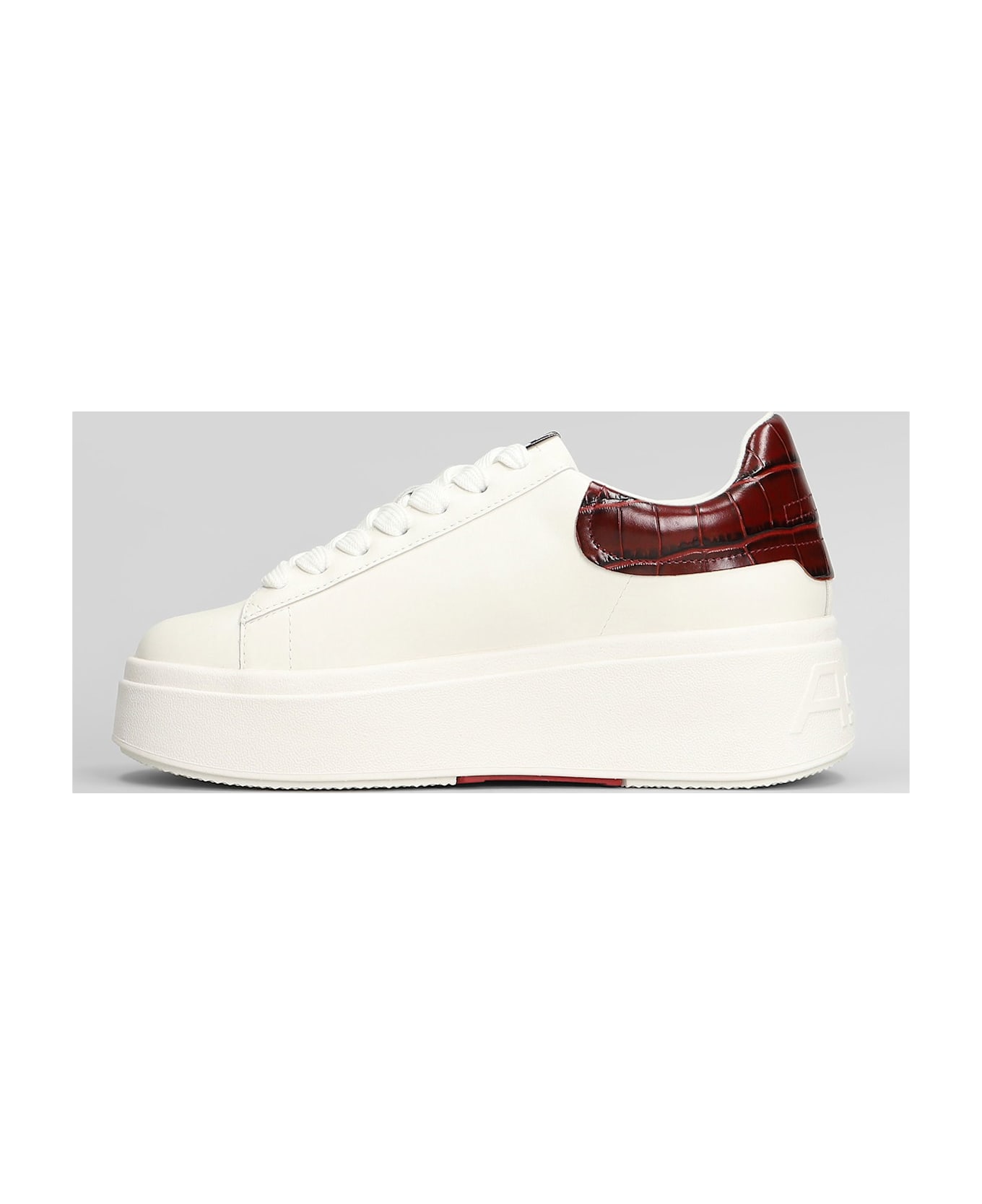 Ash Moby Sneakers In White Leather - white