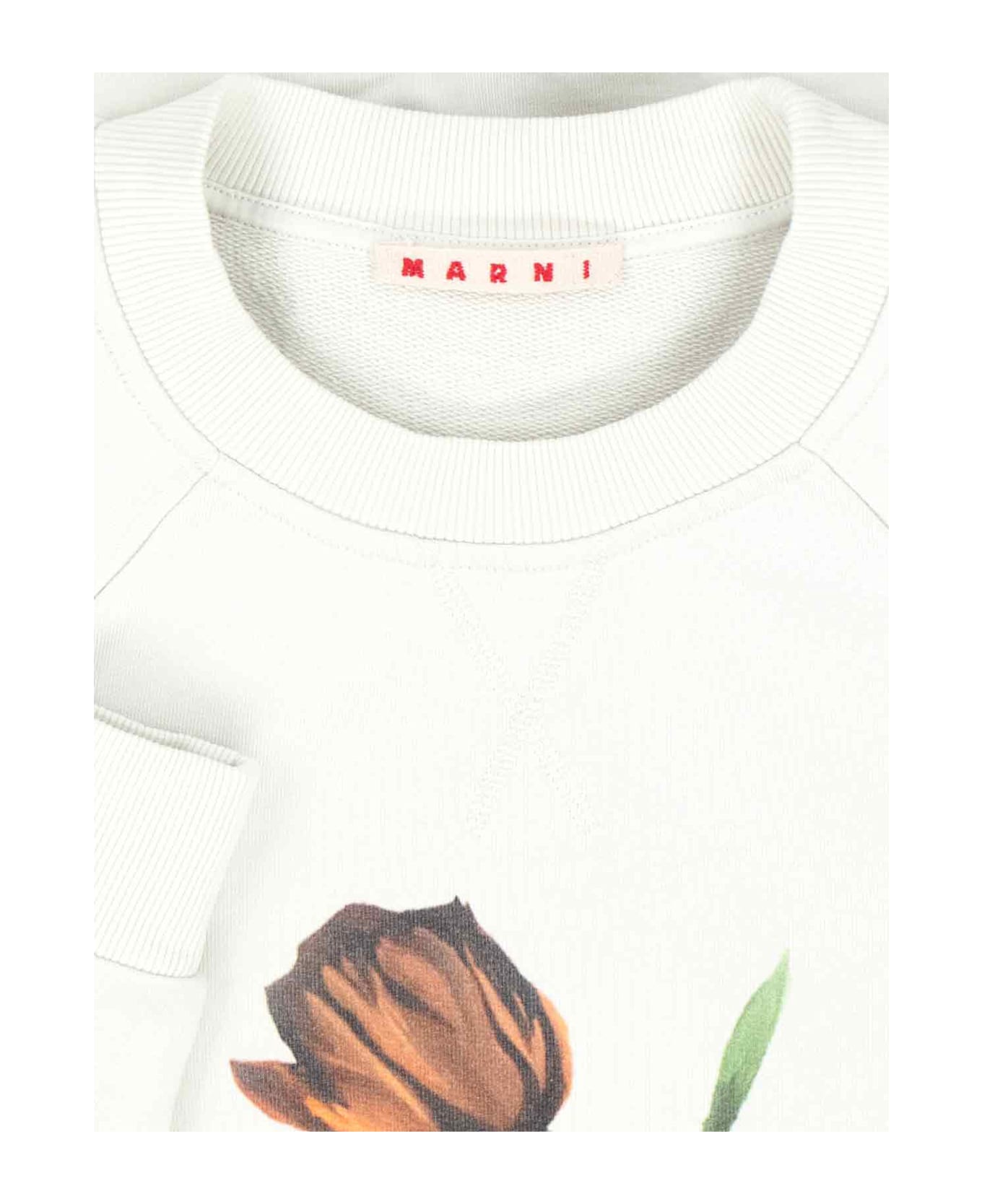 Marni Logo Crewneck Sweatshirt - GLASS
