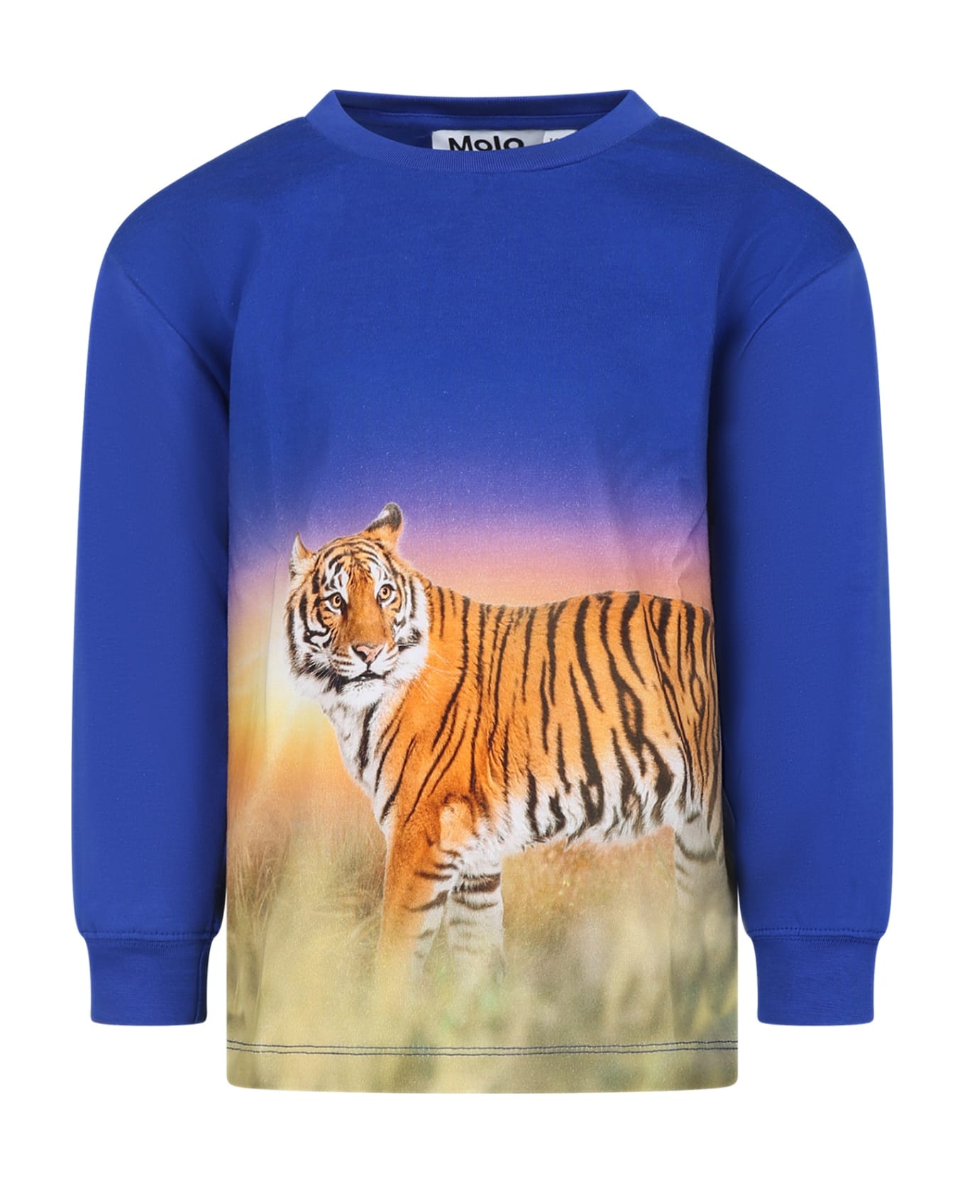 Molo Blue T-shirt For Boy With Tiger - Blue Tシャツ＆ポロシャツ