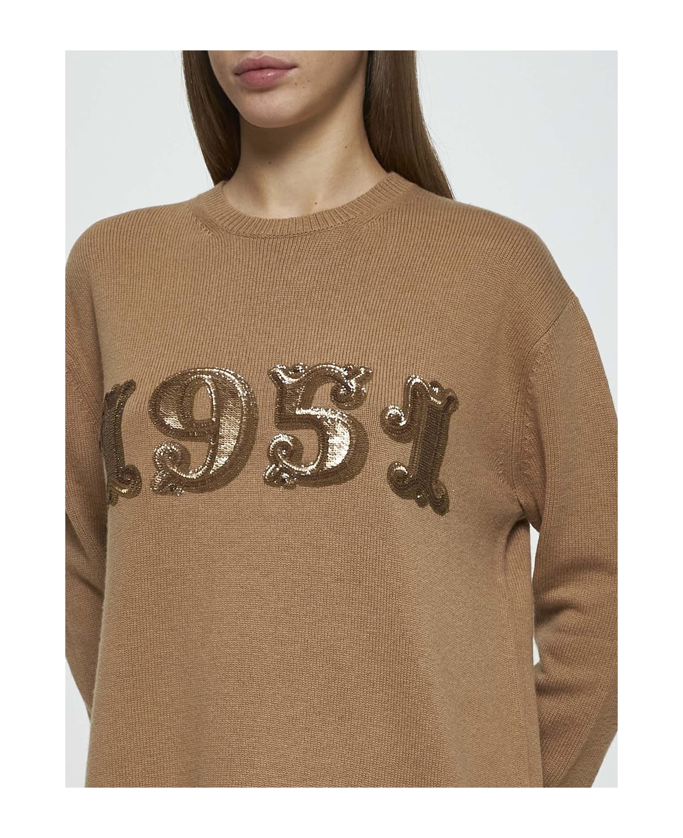 Max Mara Plata Wool And Cashmere Sweater - BROWN