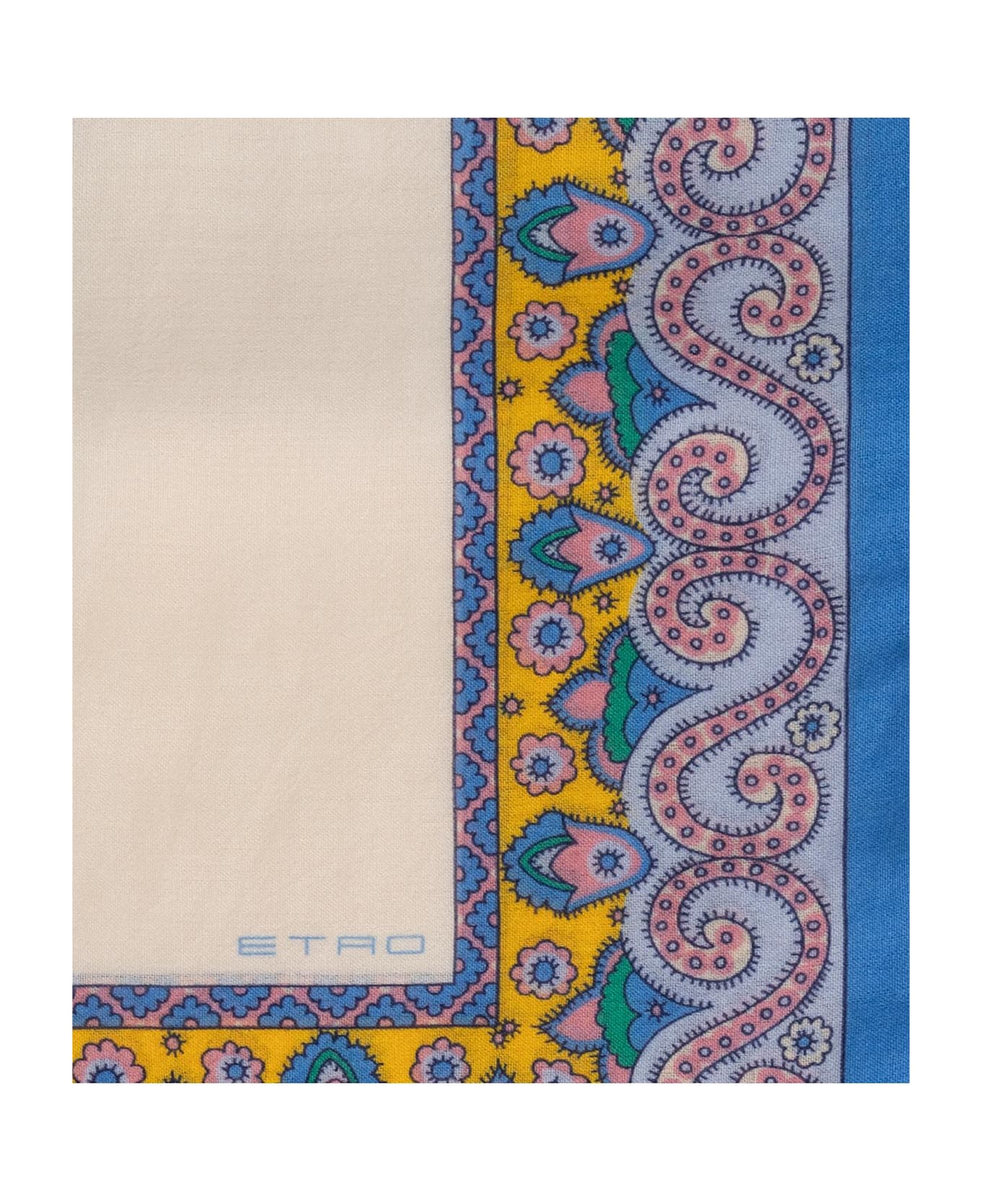 Etro Scarf - Gnawed Blue