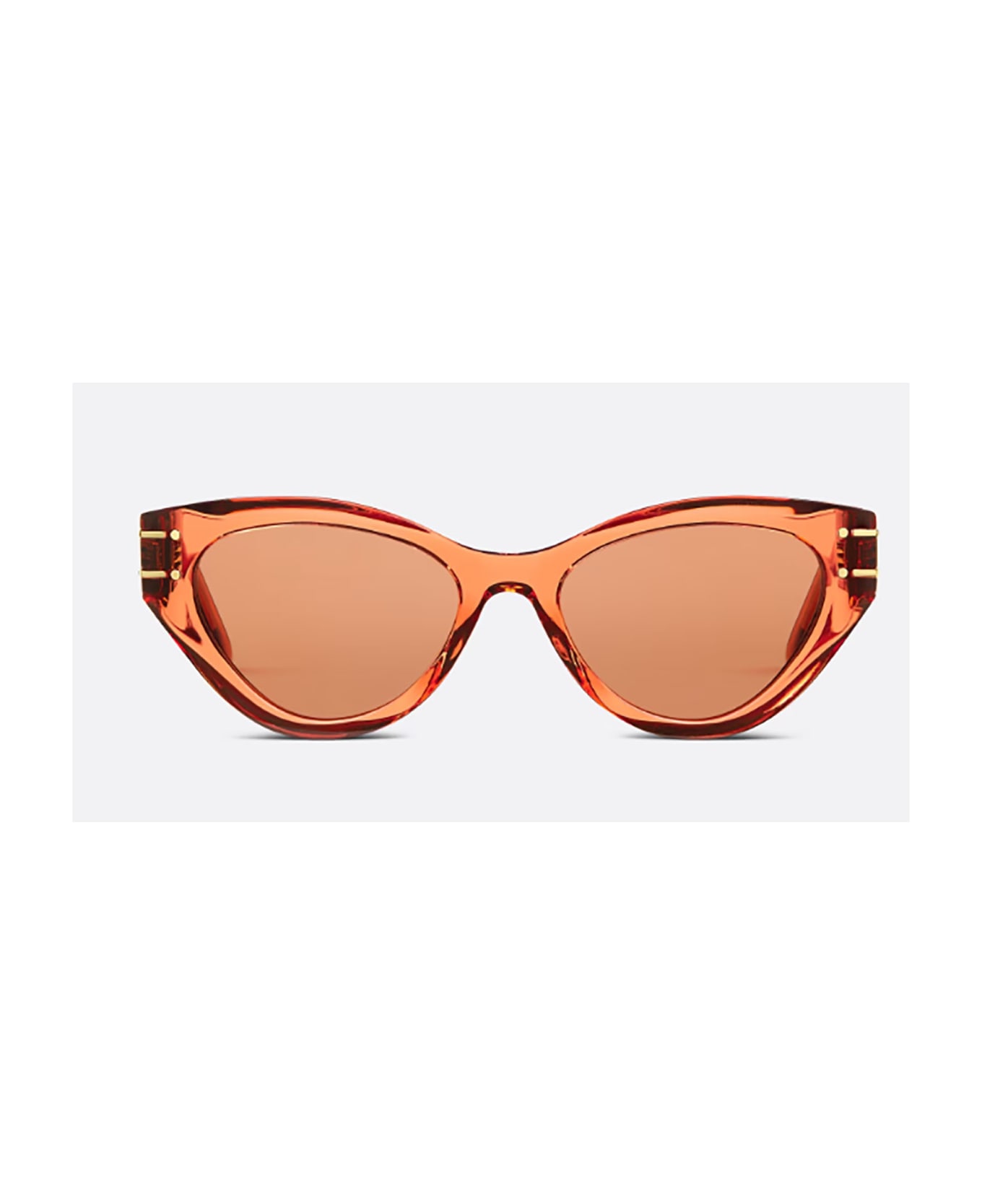 Dior Eyewear DIORSIGNATURE B7I Sunglasses