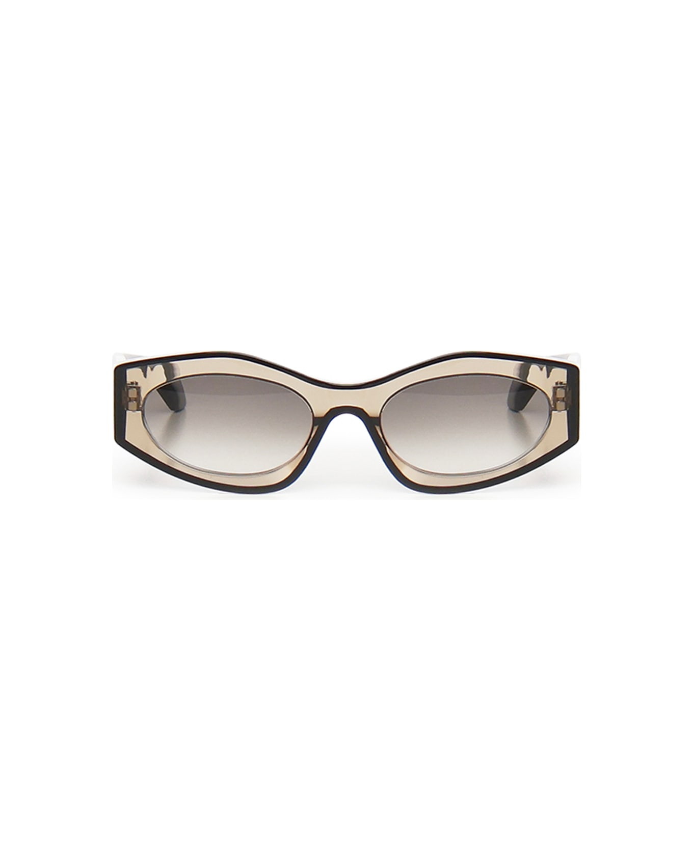 Alaia Cat-eye Sunglasses - BROWN-BLACK-GREY