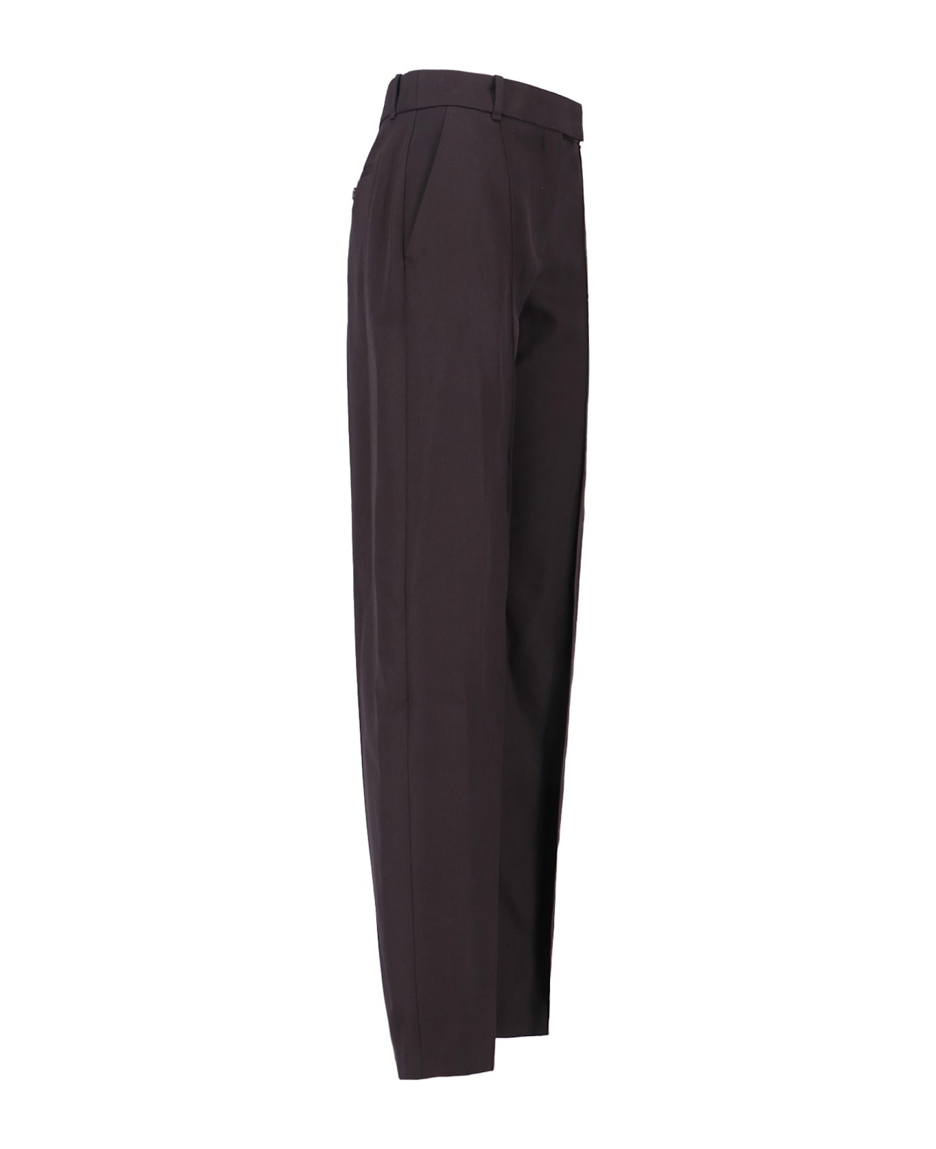 Alexander McQueen Wool Pants - Brown