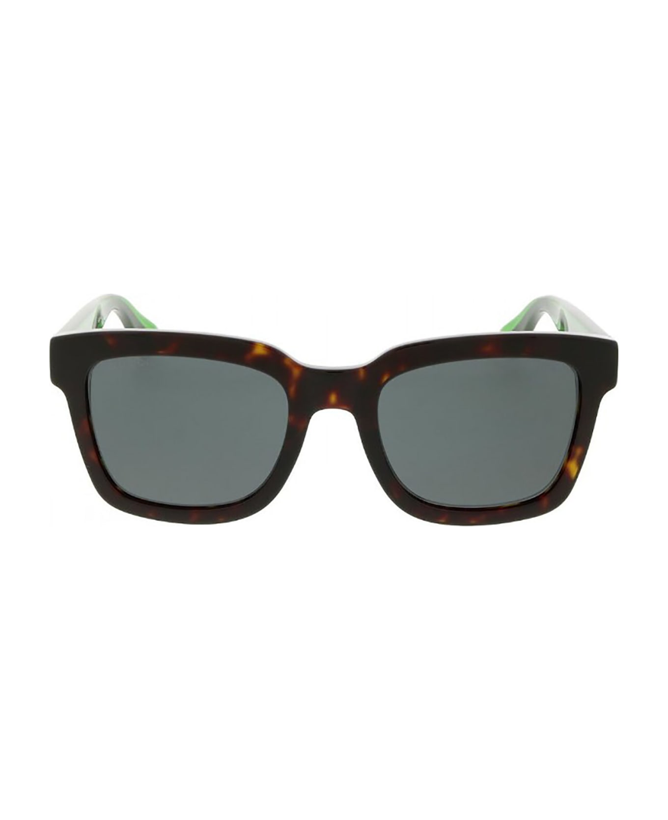 Gucci Eyewear Gg0001sn Sunglasses - 003 havana green grey