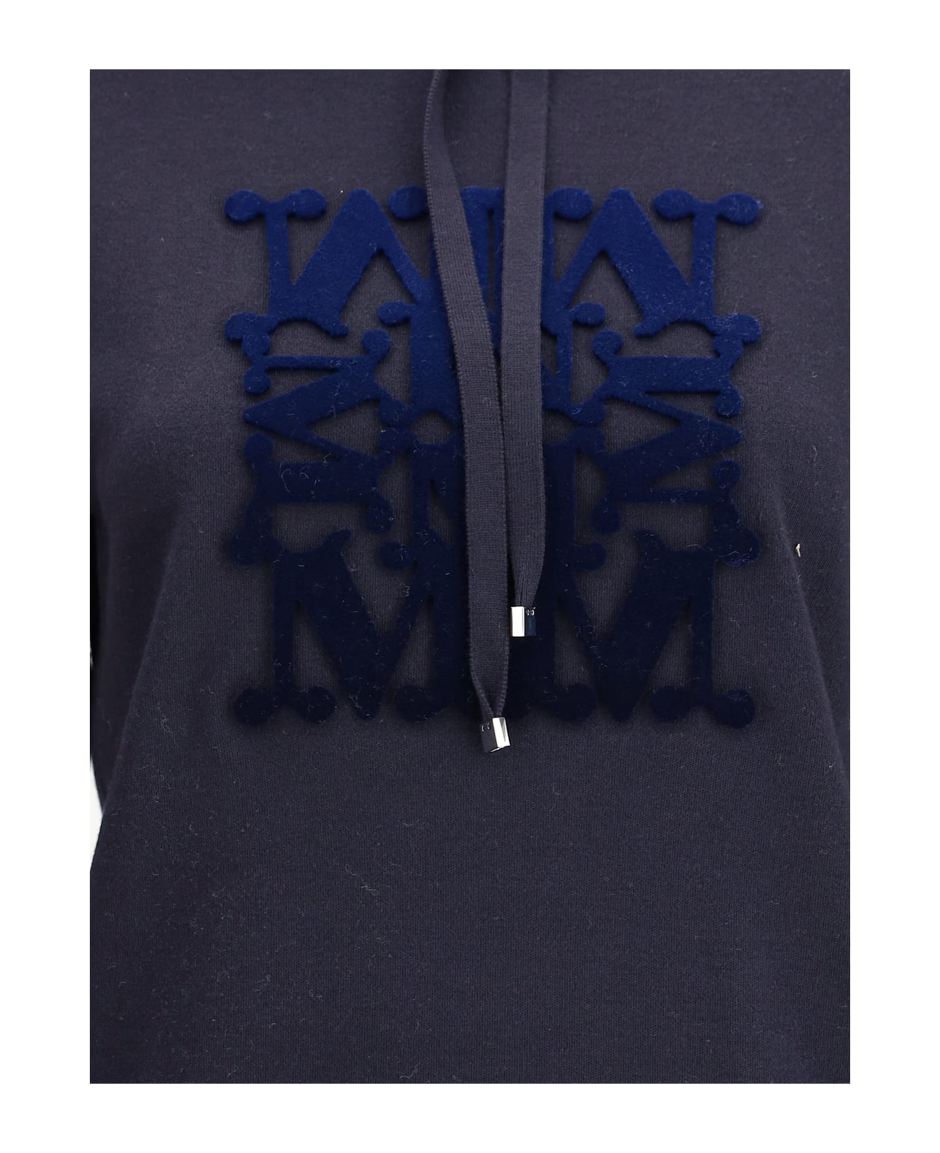 Max Mara Taddeo
s Hoodie In Wool