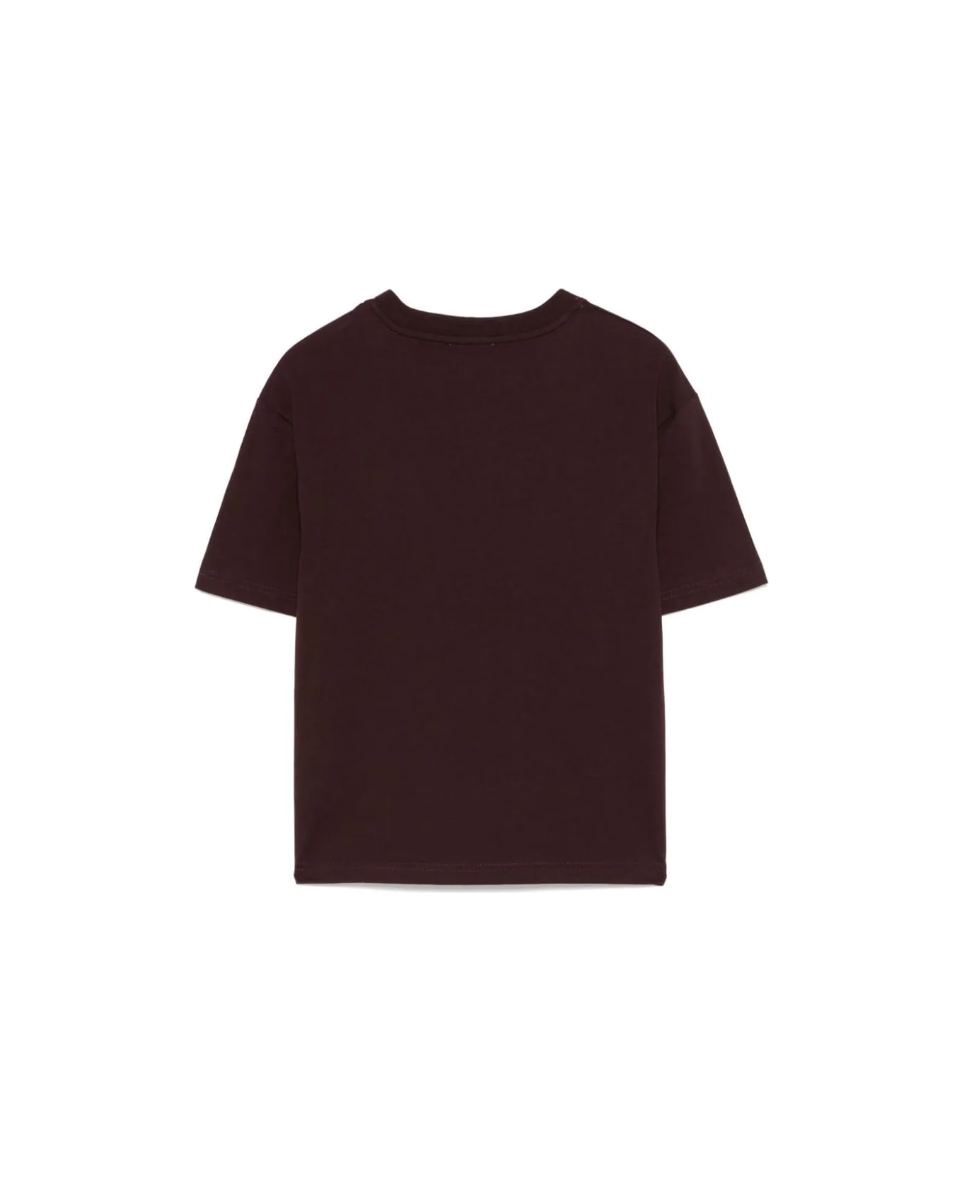 Lanvin T-shirt Con Logo - Brown