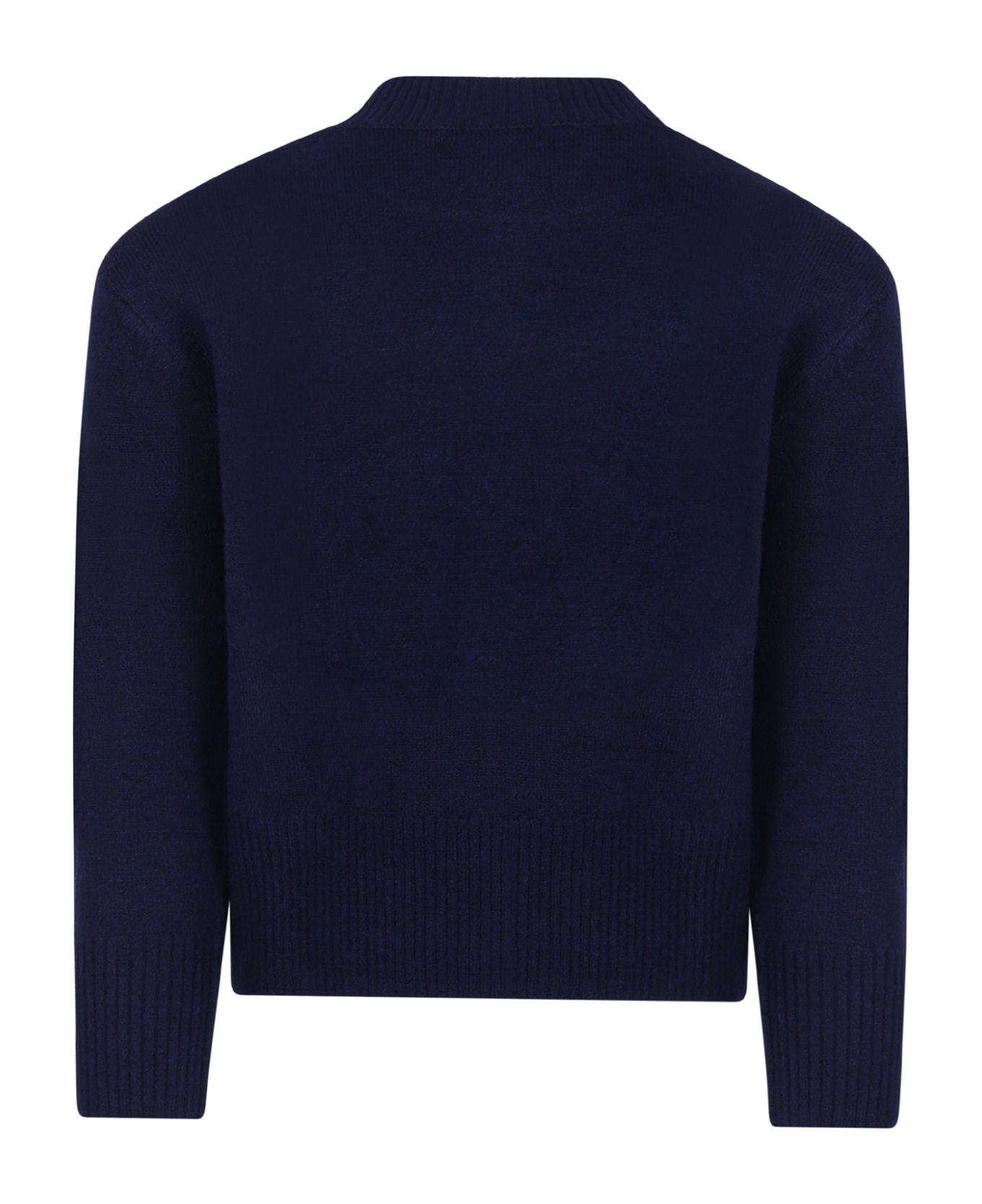Billieblush Blue Sweater For Girl With Tiger - Blue ニットウェア＆スウェットシャツ